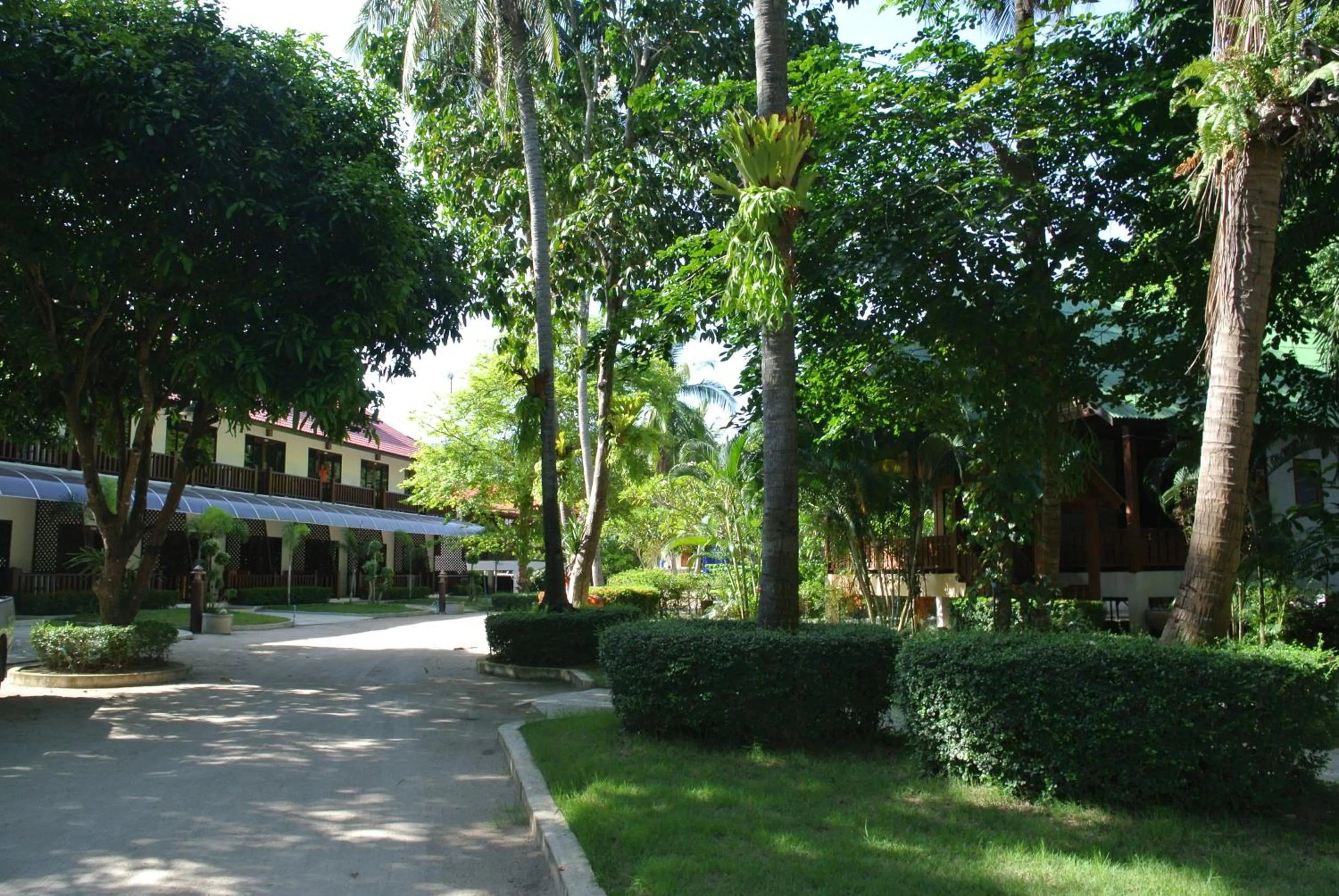 Garden in Mac's Bay Resort