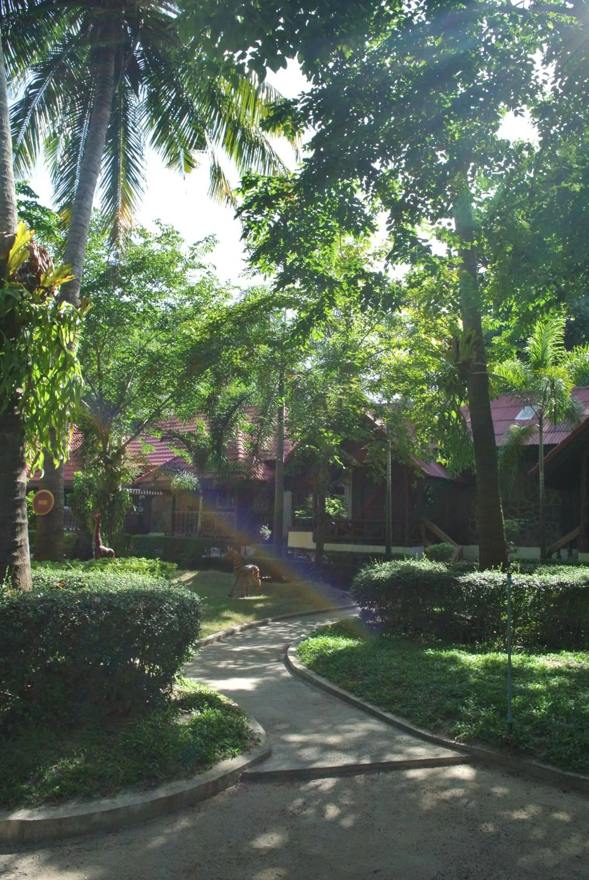 Garden in Mac's Bay Resort