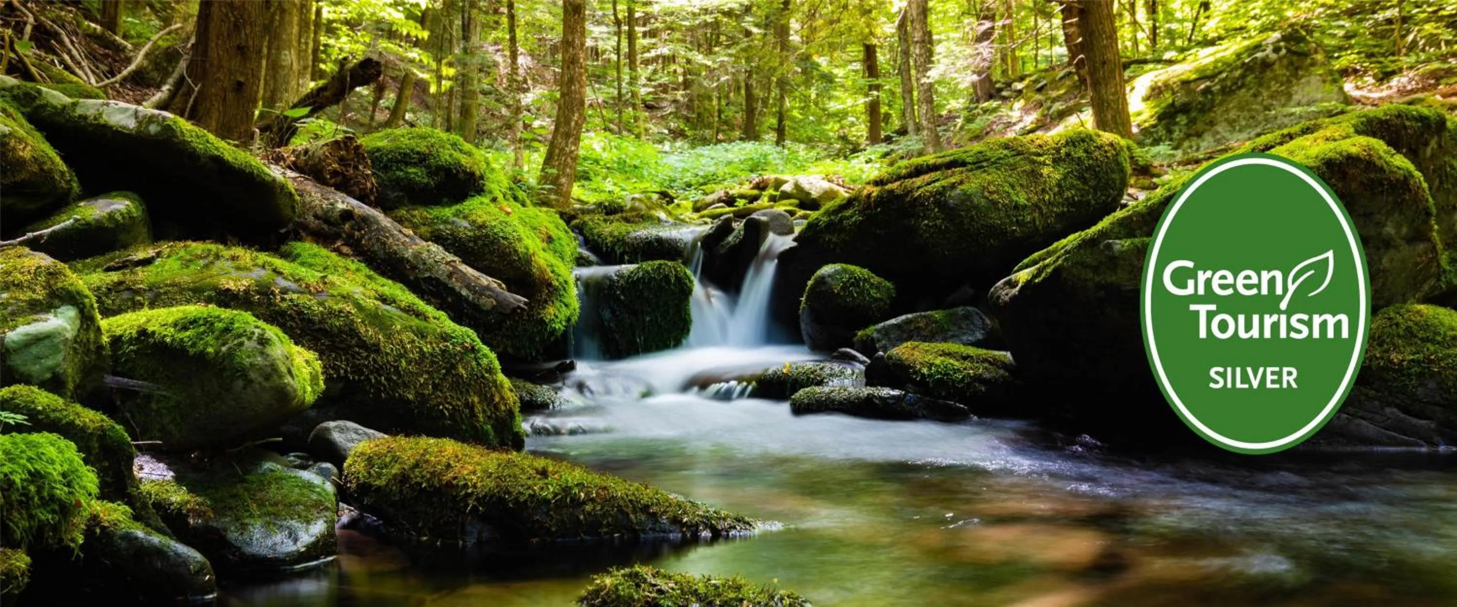 Property building in Radisson Blu Hotel, London Canary Wharf East