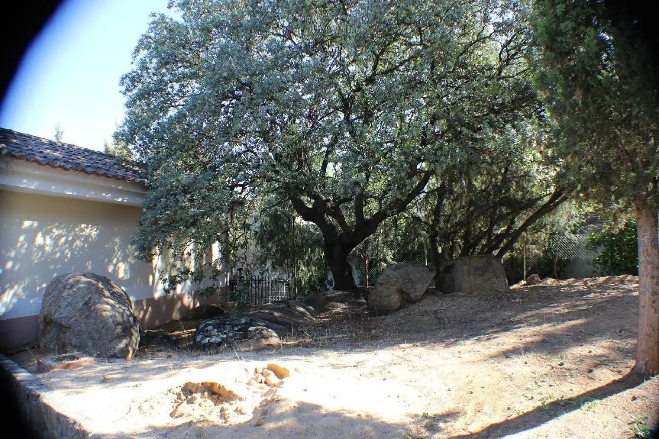 Day in Hotel Las Nieves