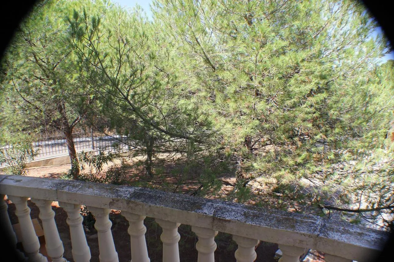 Day in Hotel Las Nieves