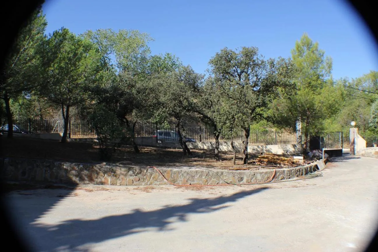 Day in Hotel Las Nieves