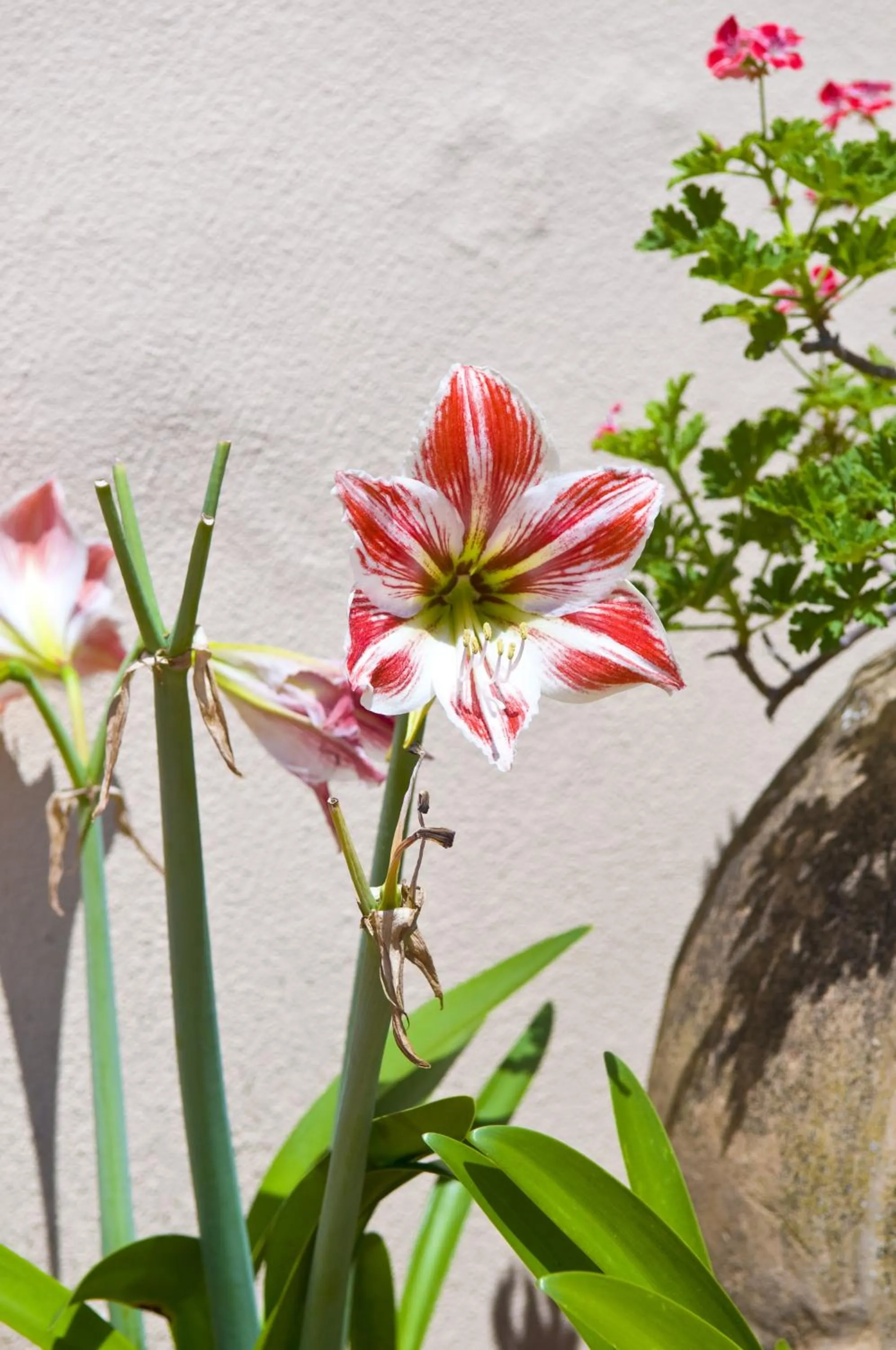 Other in Hotel Villa Sarah