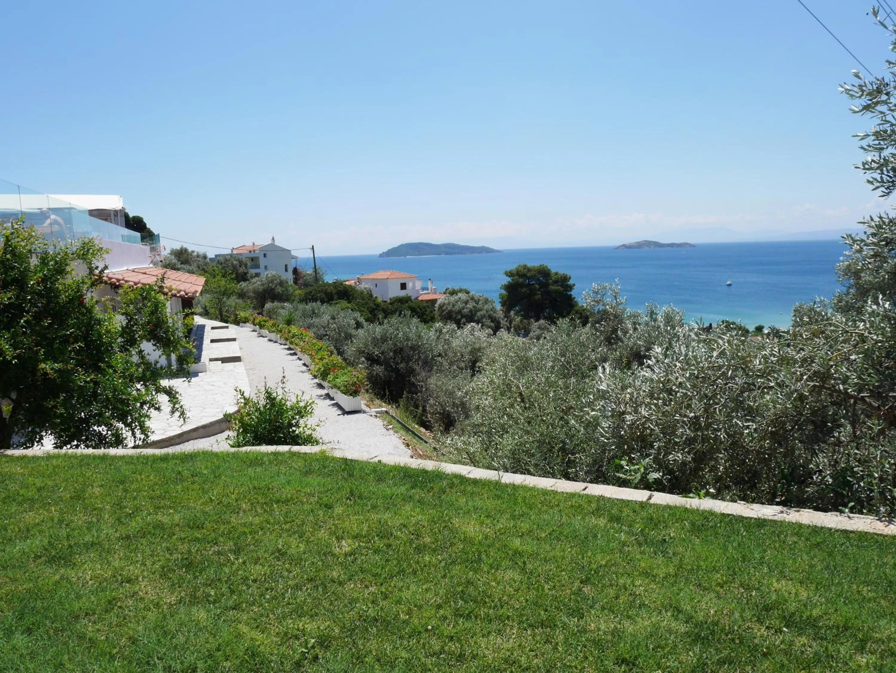 Garden in Hotel Rene