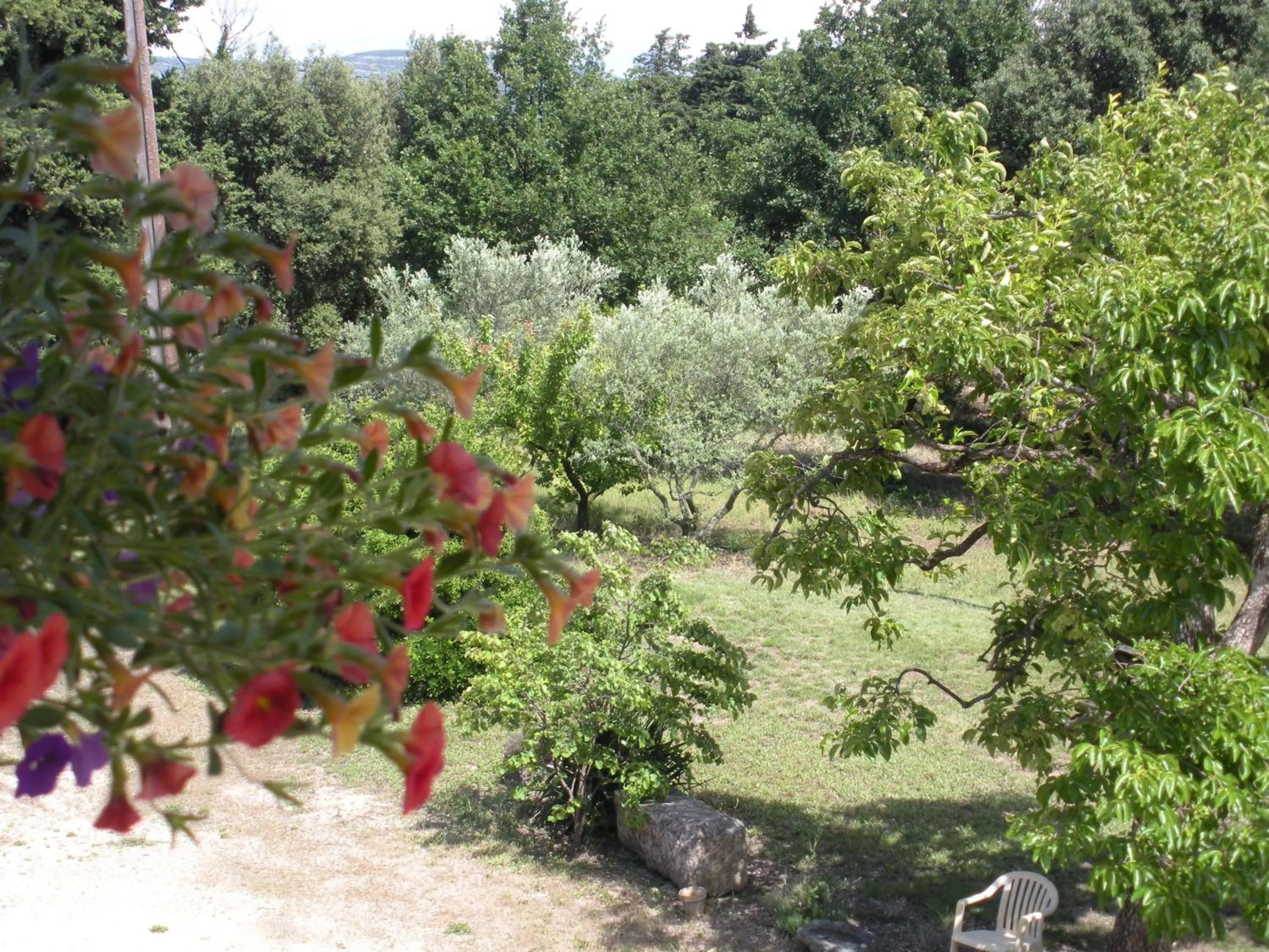 Garden view in Mas la Vitalis Chambres D'Hôtes