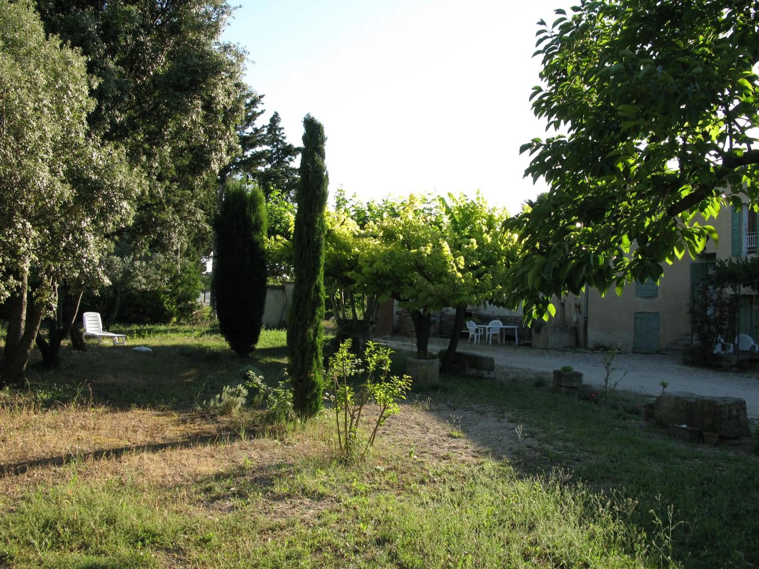 Garden in Mas la Vitalis Chambres D'Hôtes