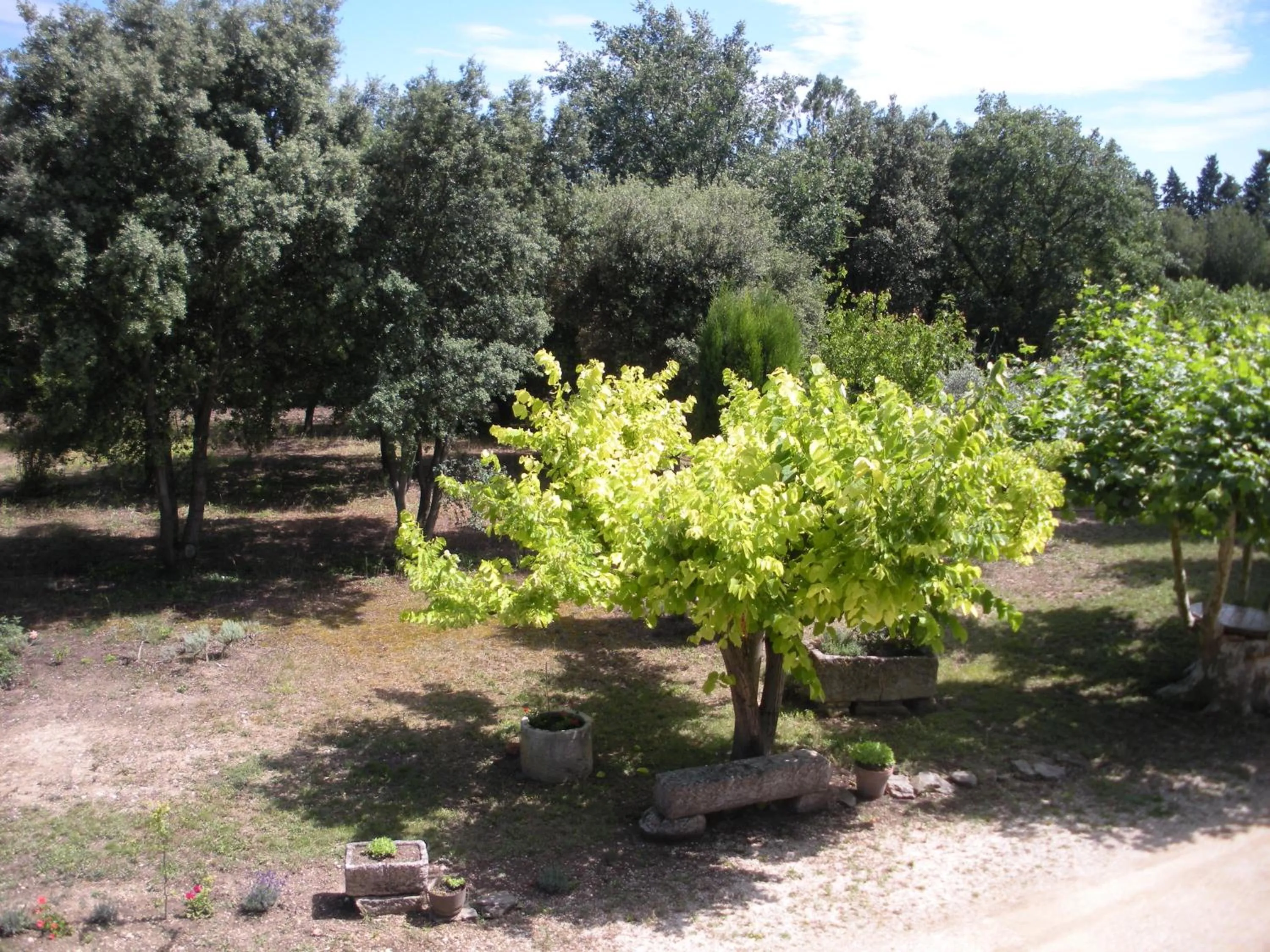 Garden view in Mas la Vitalis Chambres D'Hôtes