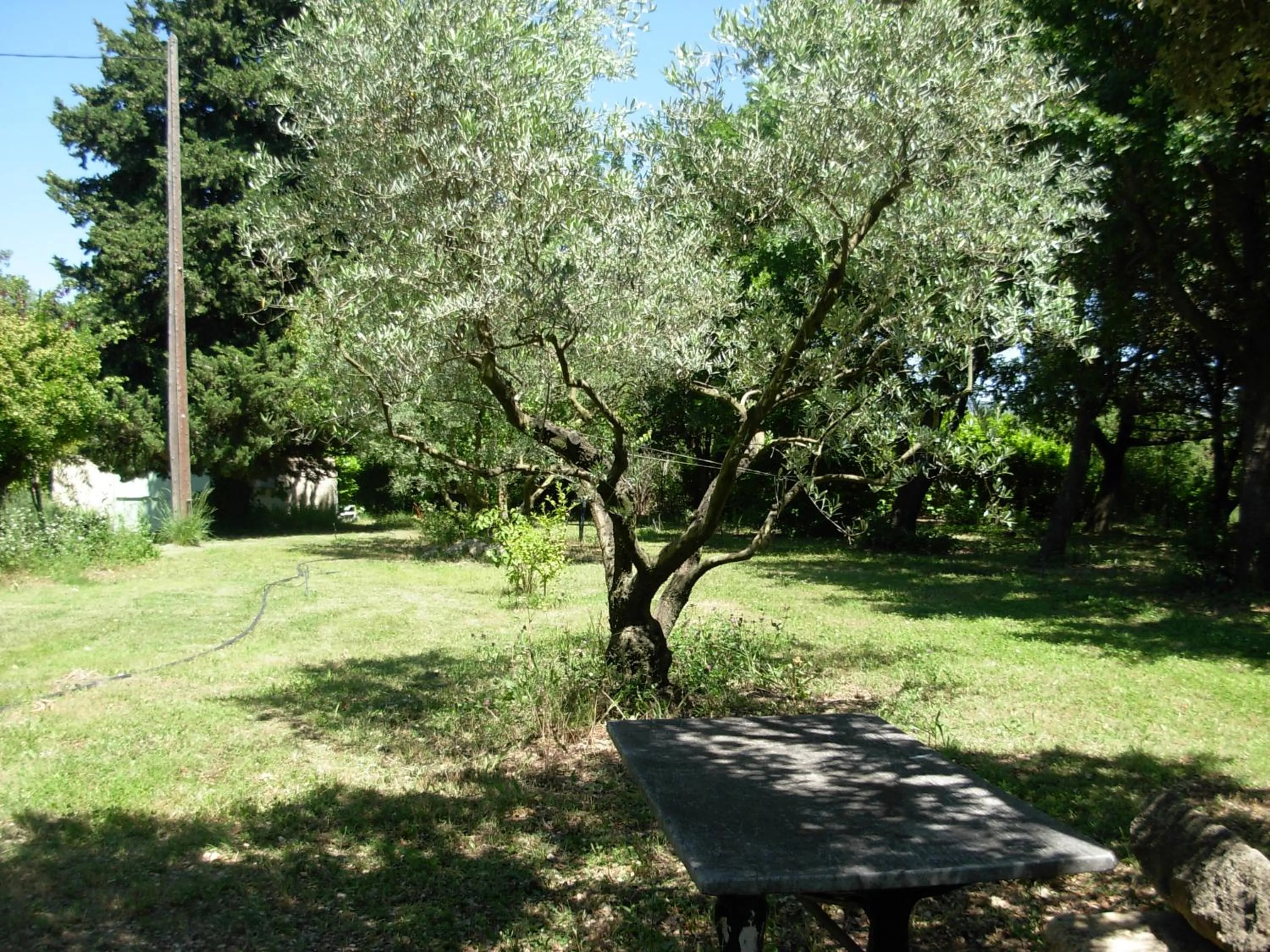Garden in Mas la Vitalis Chambres D'Hôtes