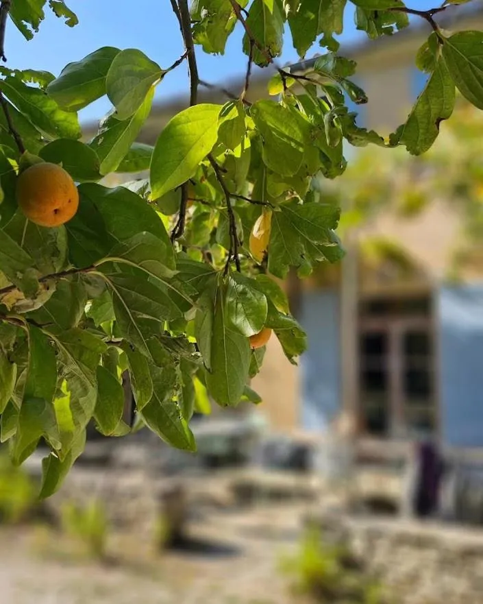 Mas la Vitalis Chambres D'Hôtes