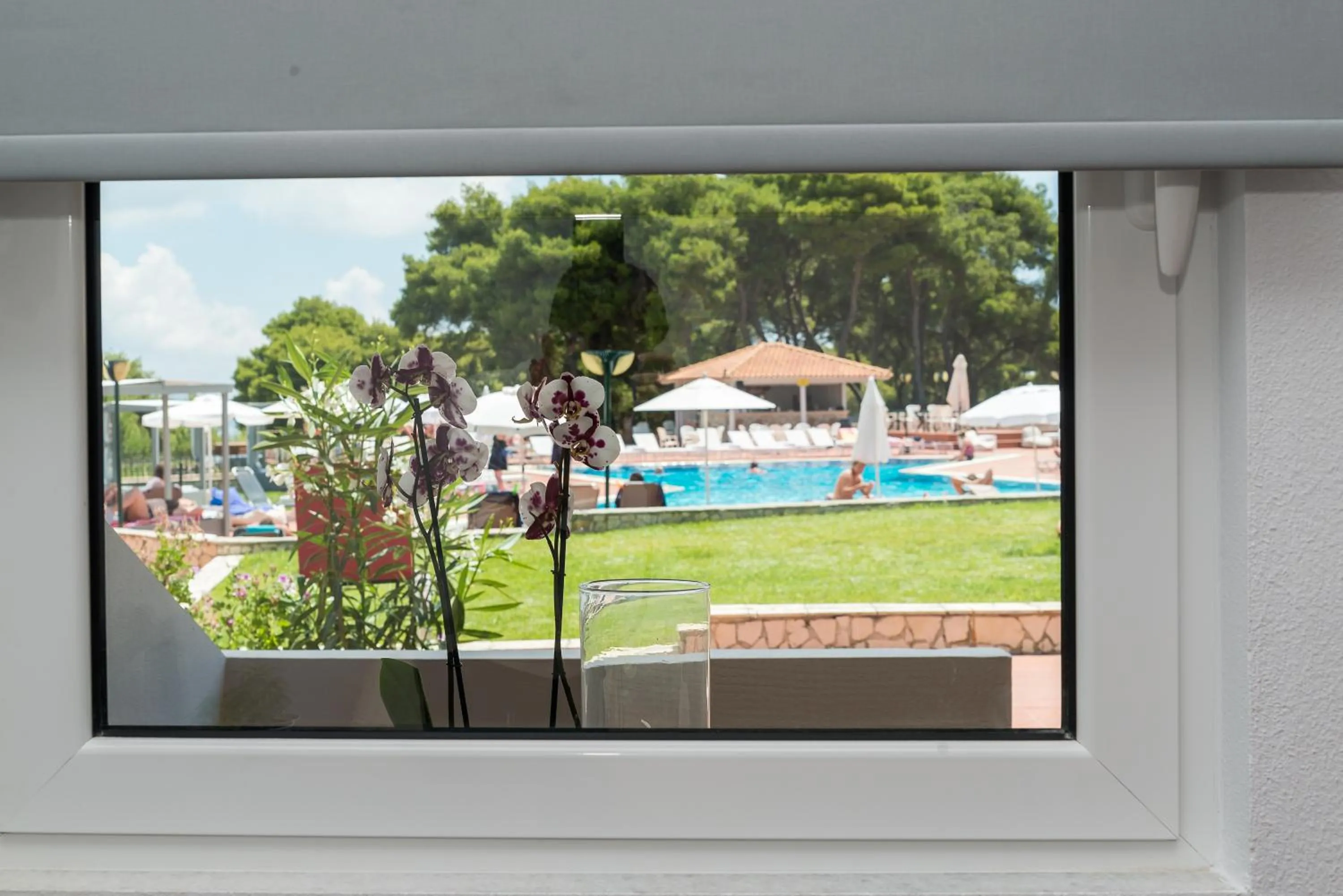 Pool view in Keri Village & Spa by Zante Plaza (Adults Only)