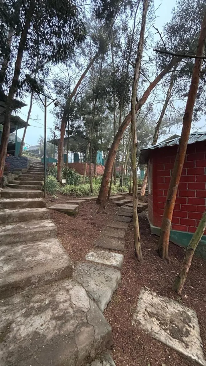 The Den by Trees