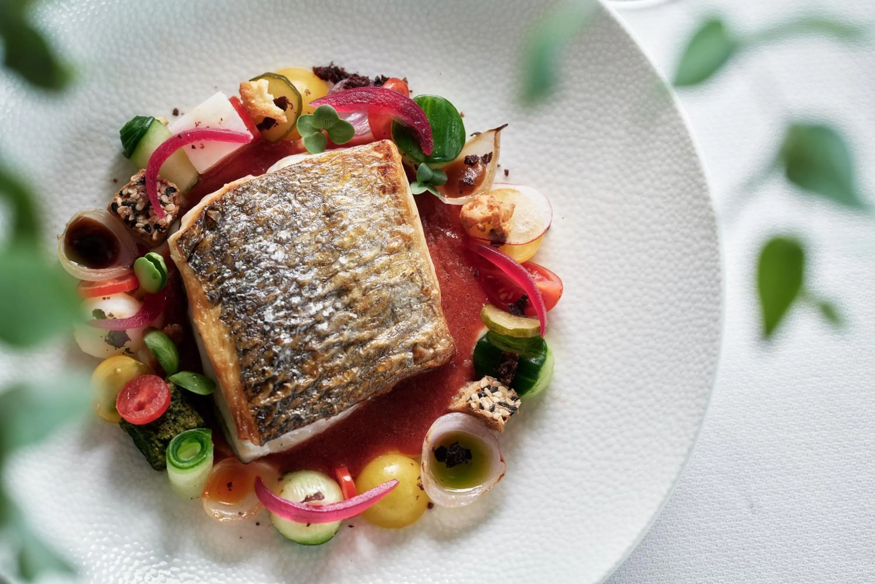 Boutique 5 Hotel & Spa - Adults Only