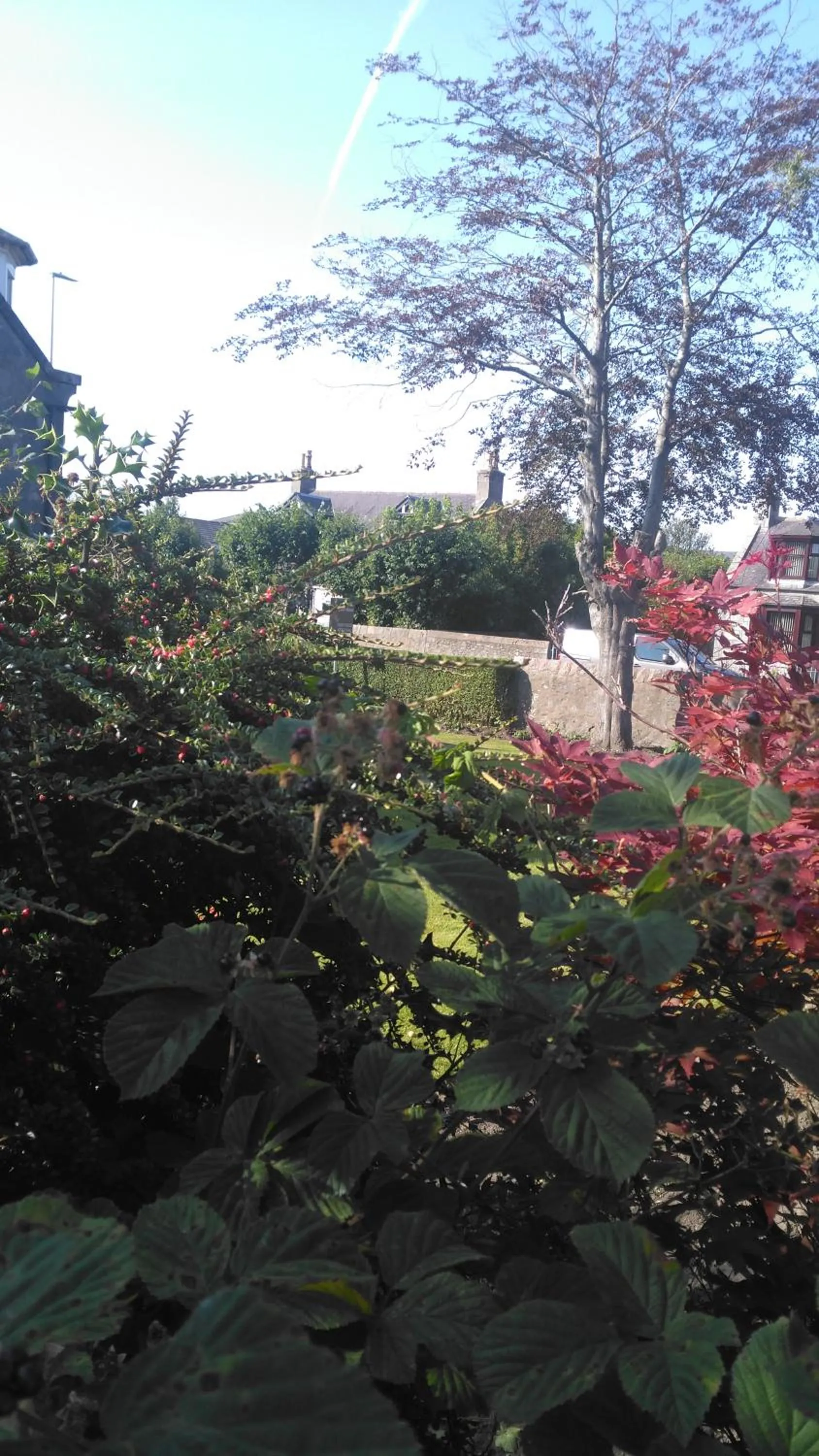 Property building in Granville Guest House