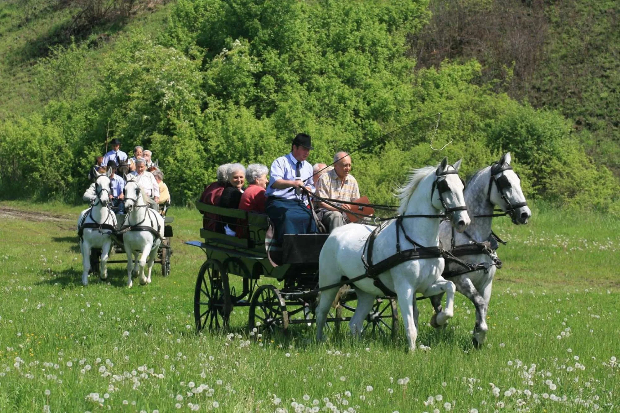 Activities in Lipicai Hotel és Étterem