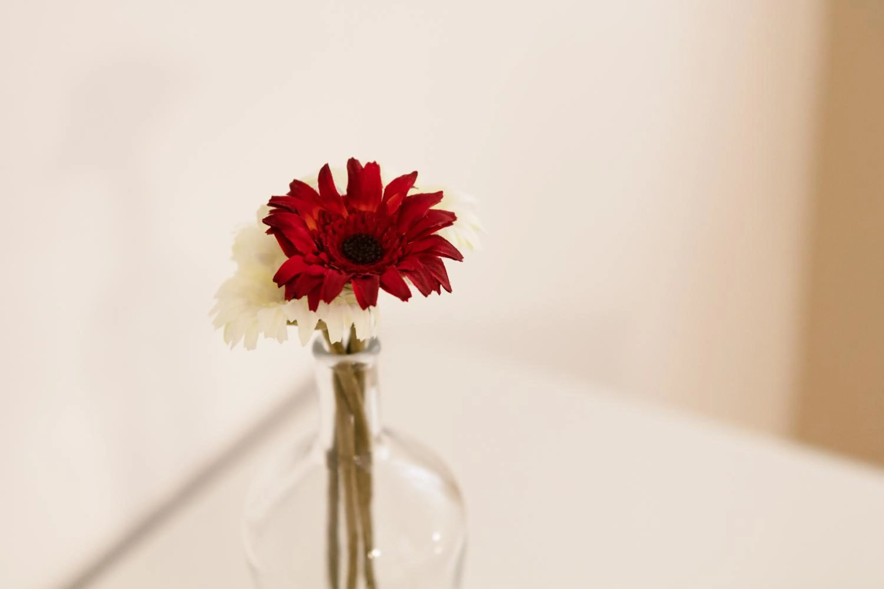 Verbania - Luxury Italy Apartments