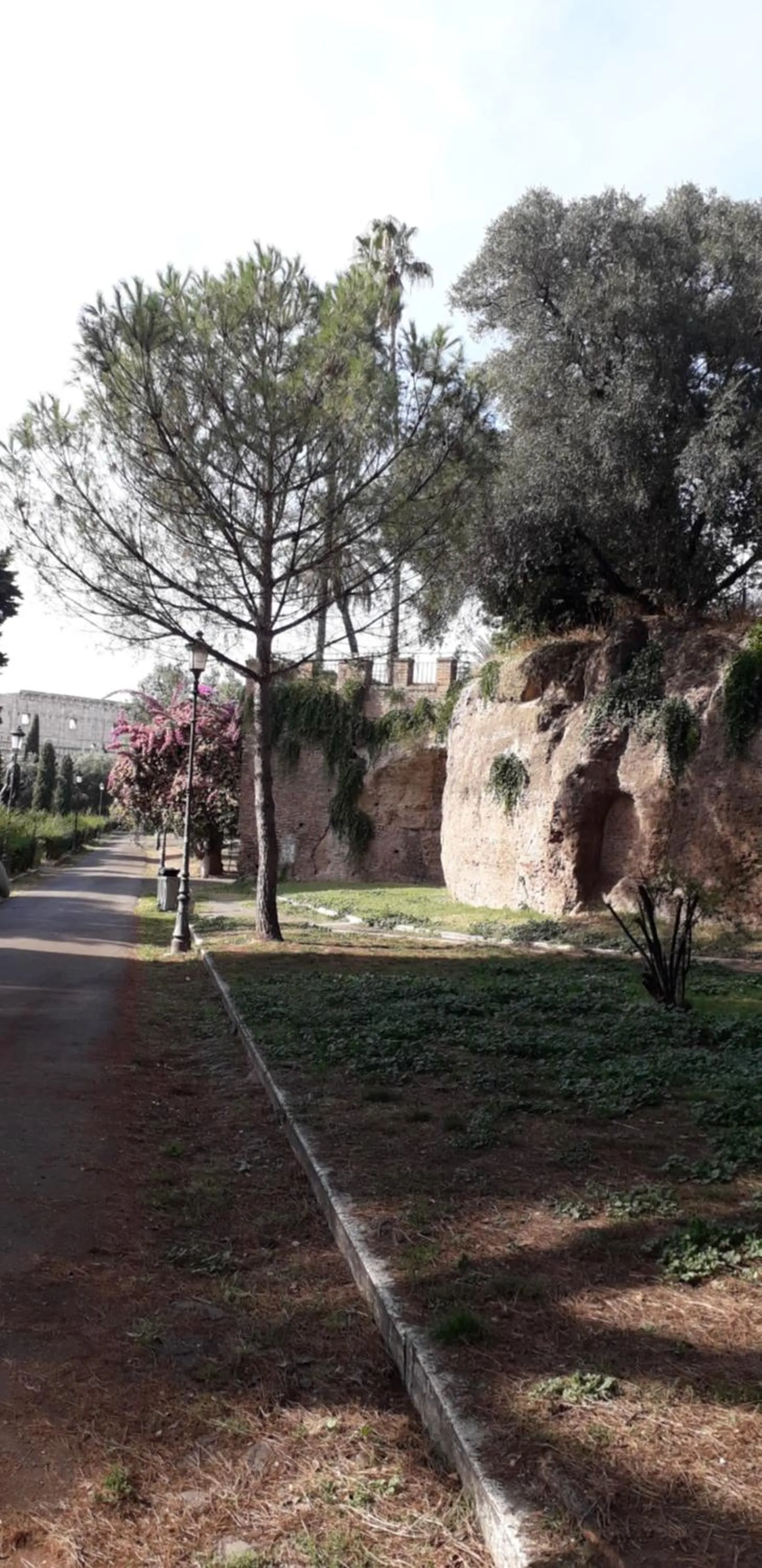 Neighbourhood in Emanuela Guest House