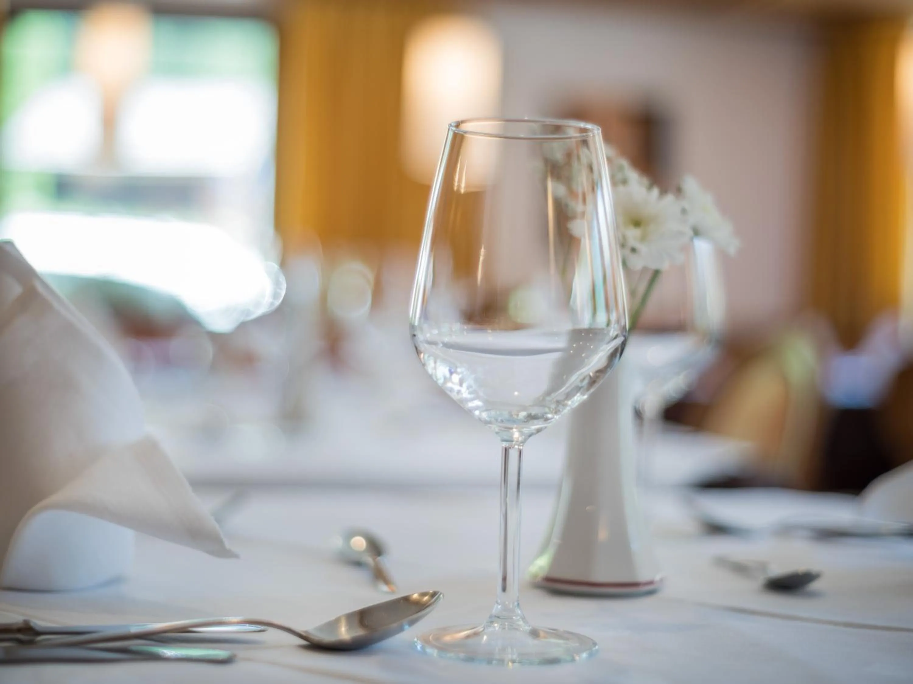 Evening entertainment in Hotel Alpenrast