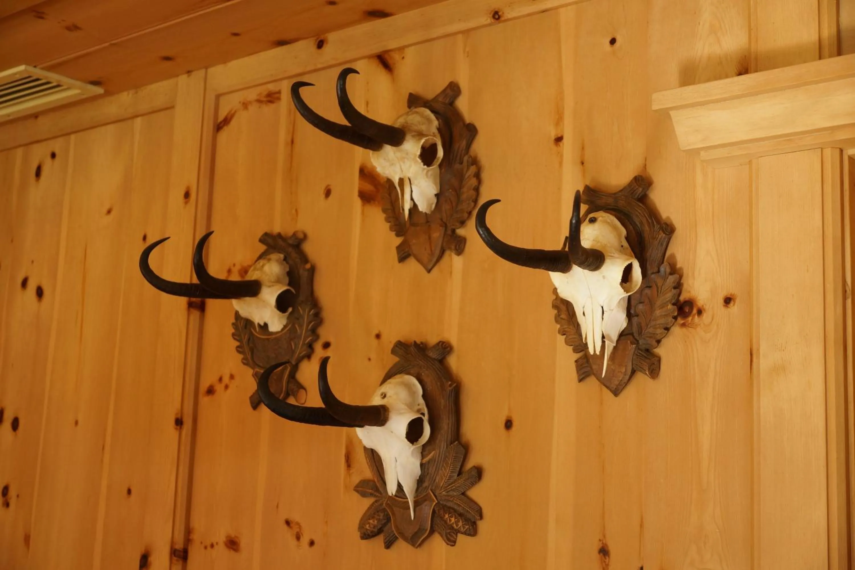 Other in Hotel Alpenrast