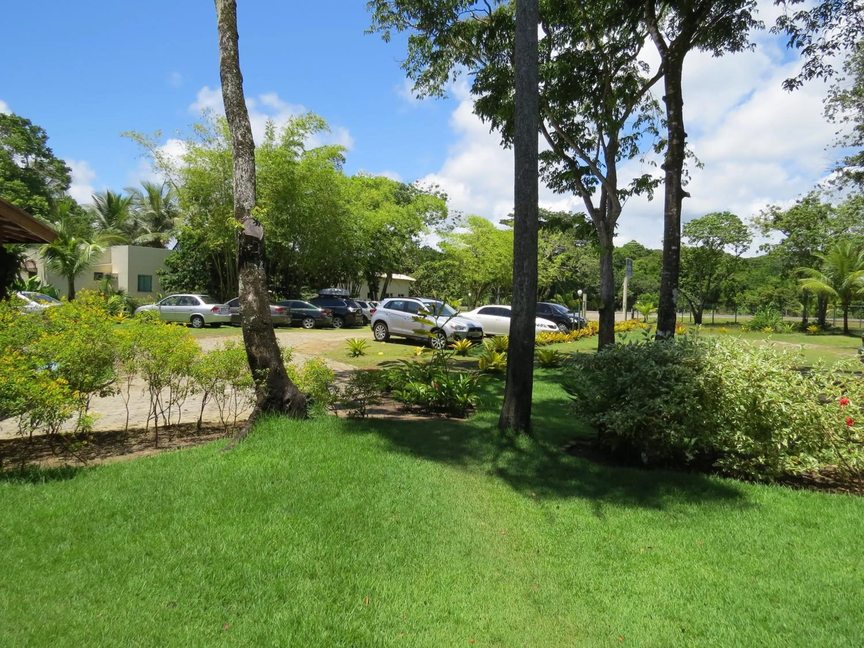 View (from property/room) in Ilheus North Hotel