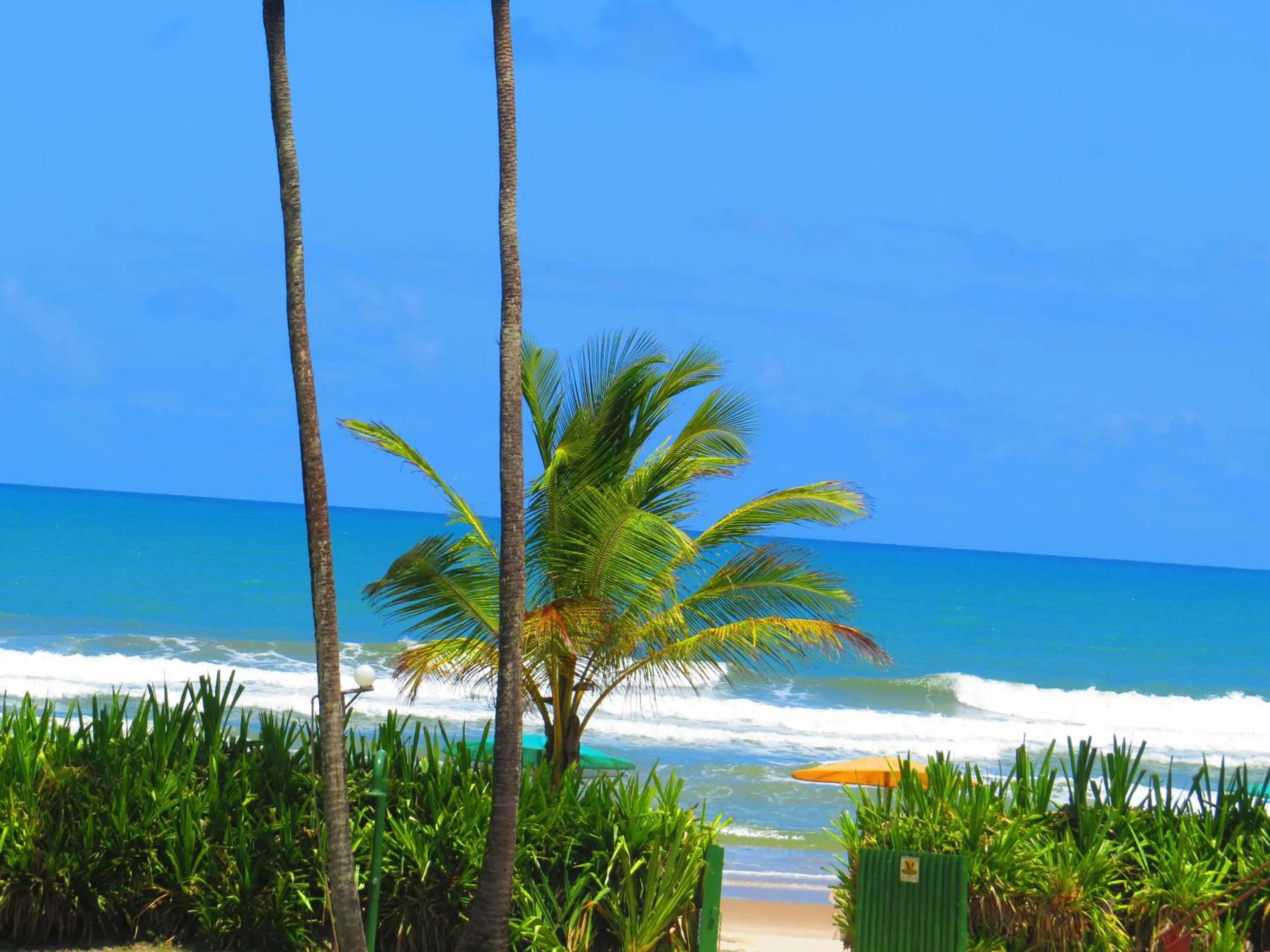 View (from property/room) in Ilheus North Hotel