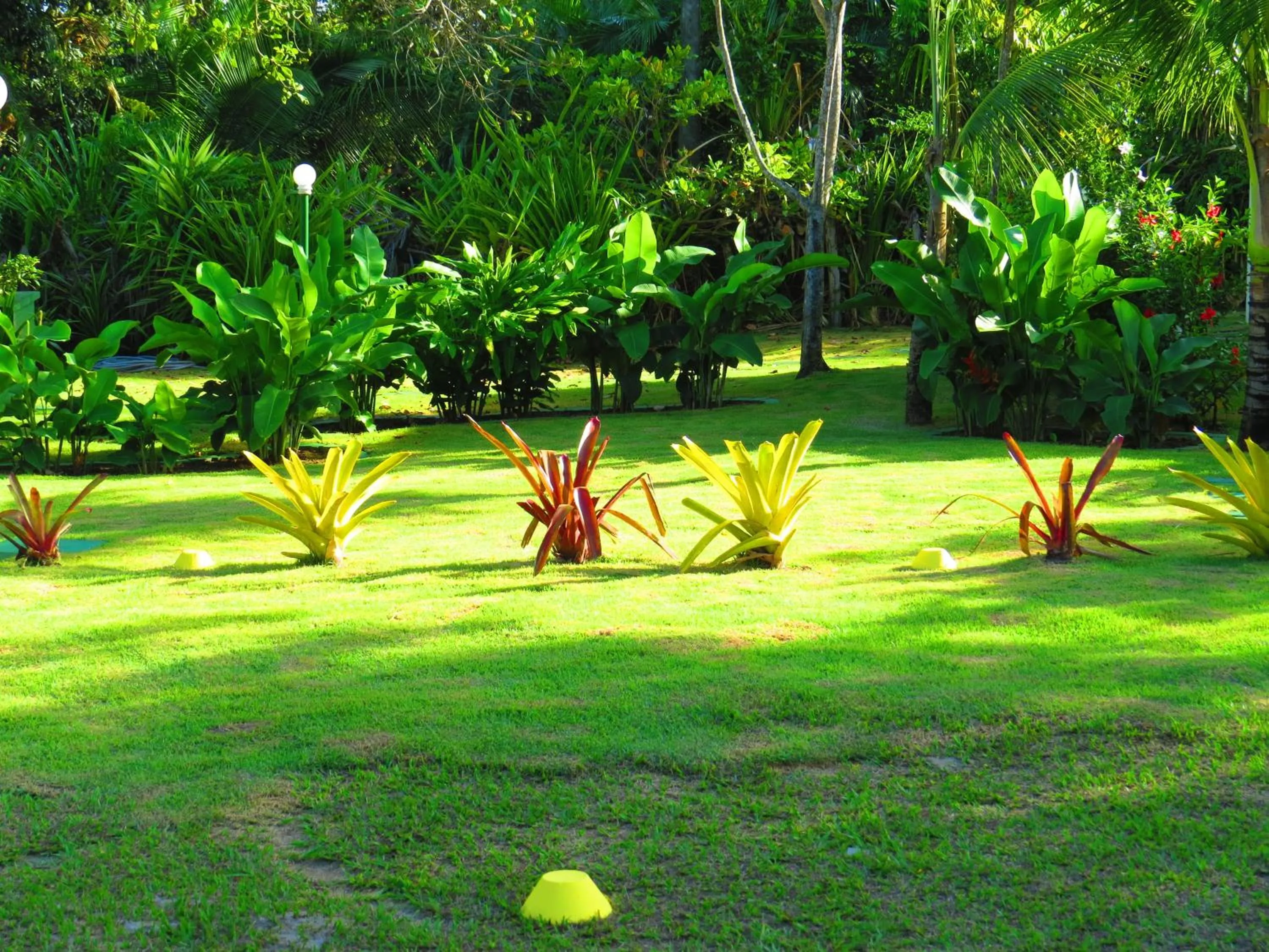 Garden in Ilheus North Hotel