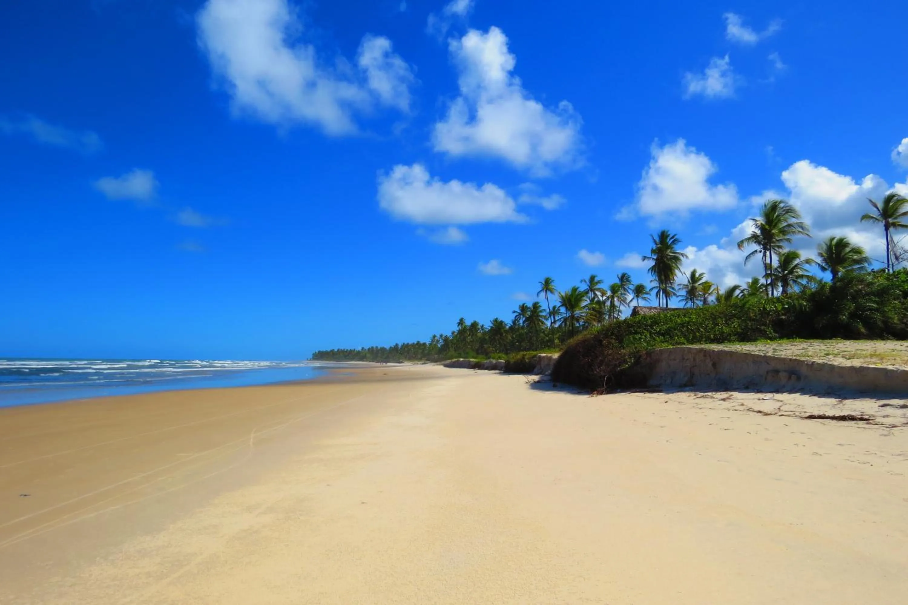 Beach in Ilheus North Hotel