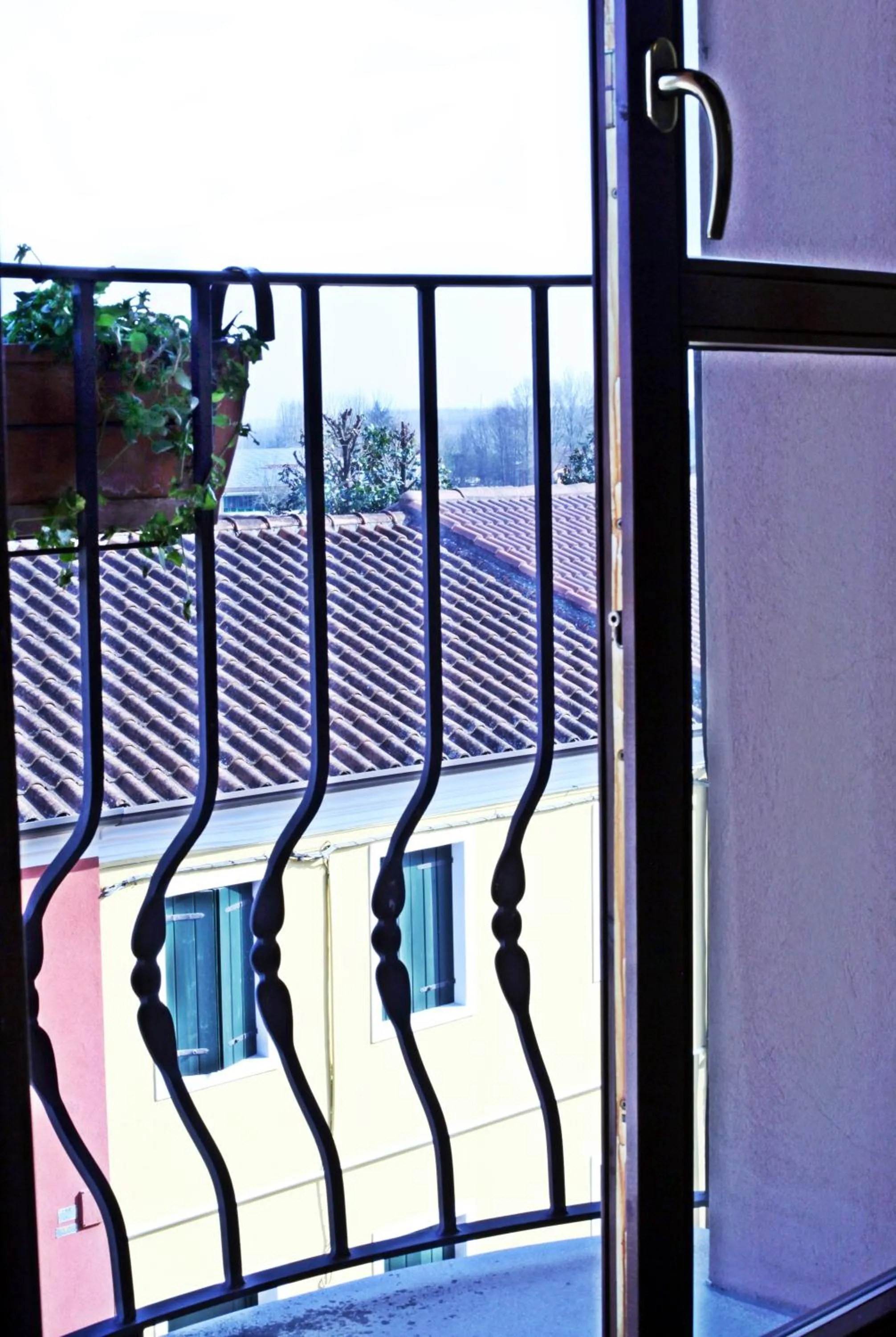 View (from property/room) in Alla Nave