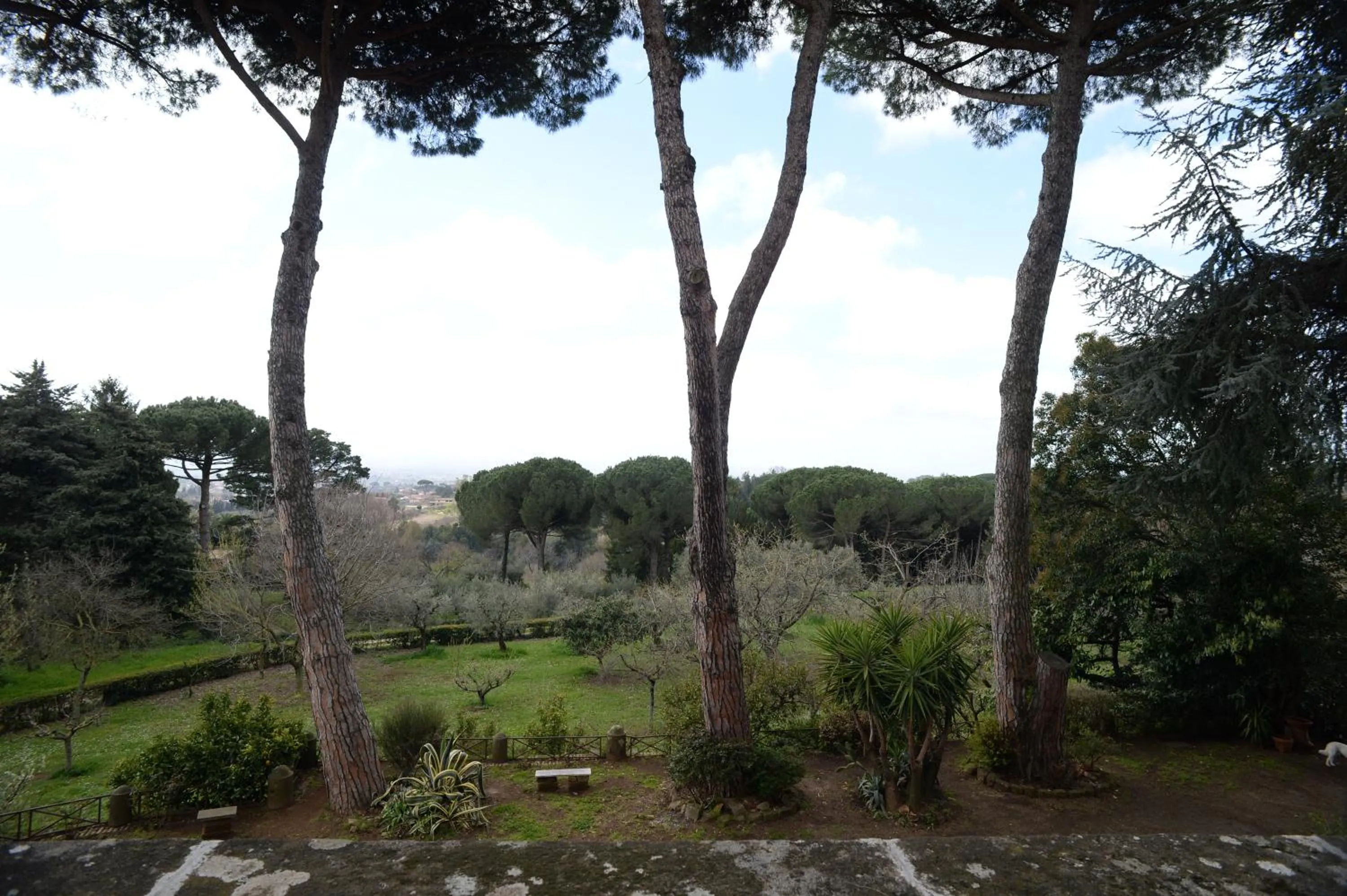 Garden in Vigna dell'Agrifoglio Home Residence di Eugenio Azzolini