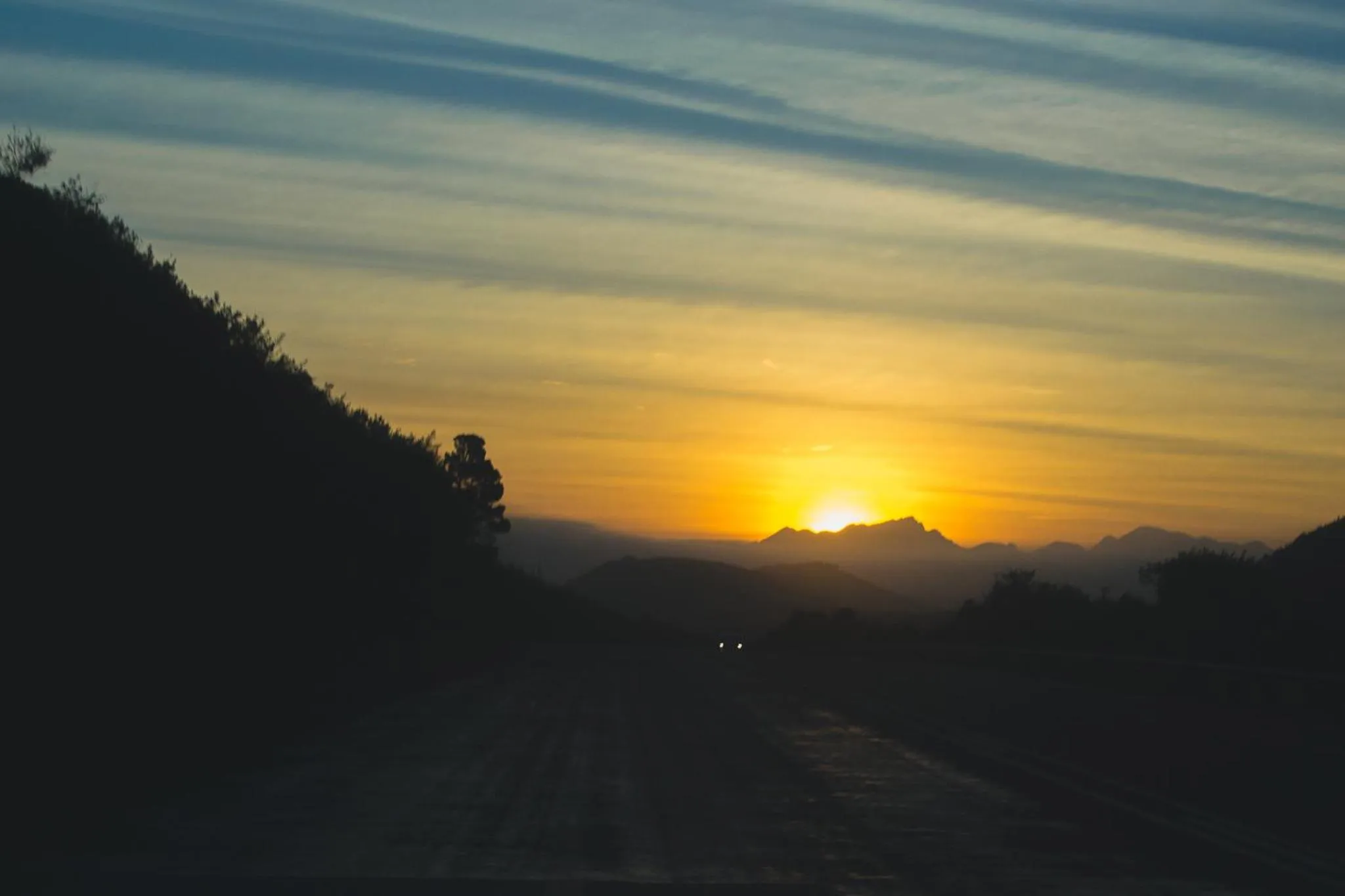 Natural landscape in Teniqua Treetops