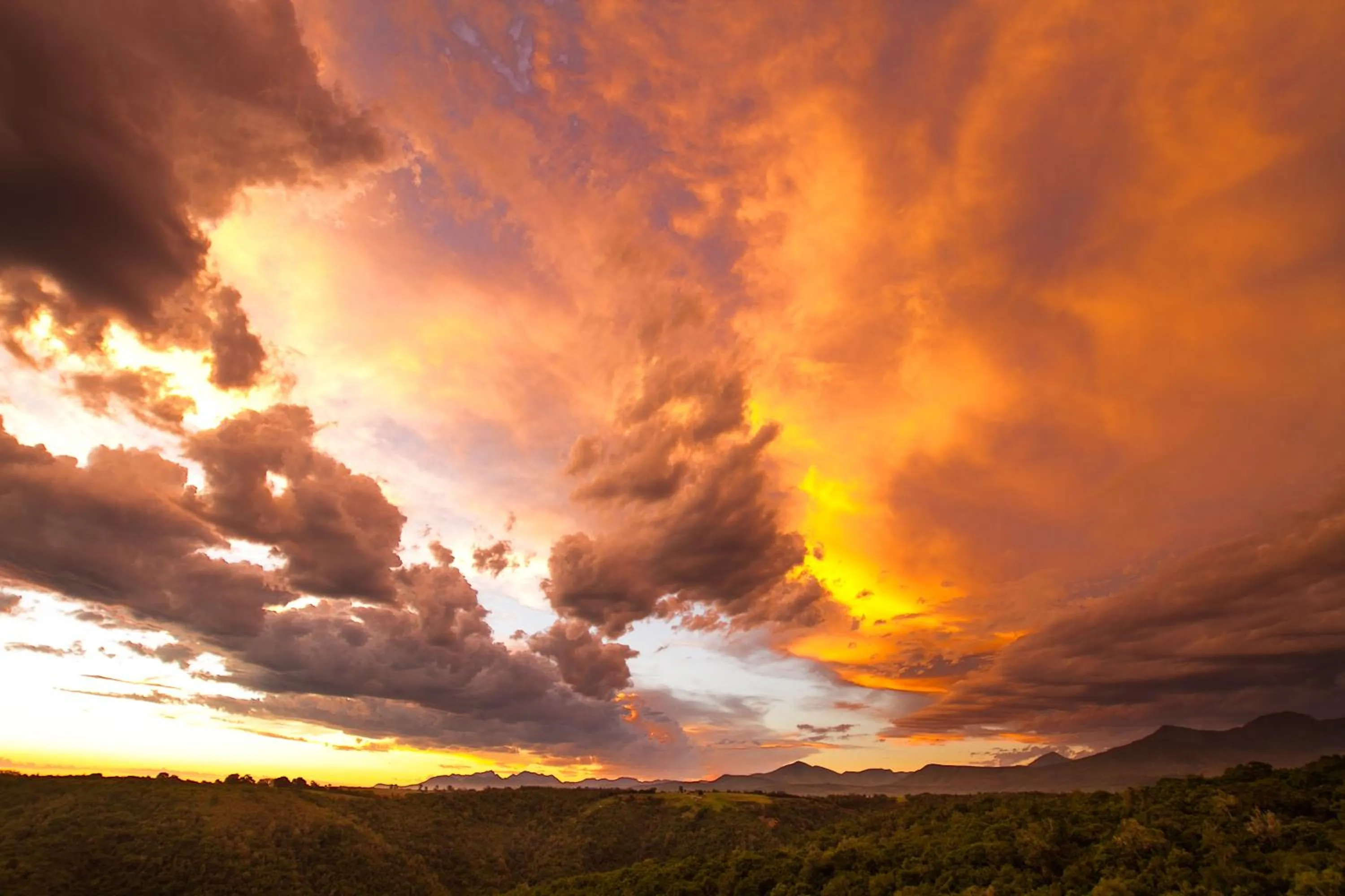 Natural landscape in Teniqua Treetops