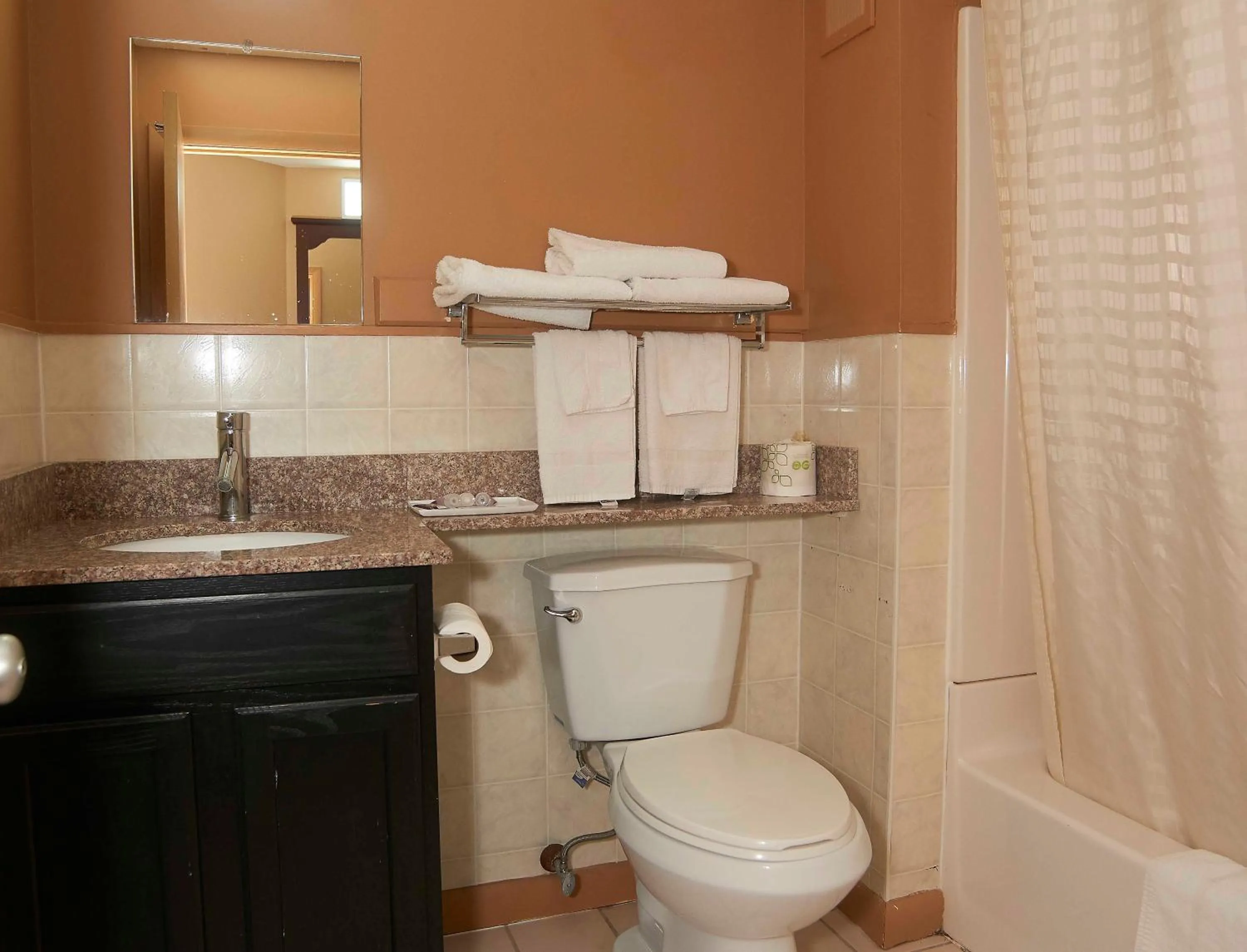 Bathroom in Hollow Inn and Motel