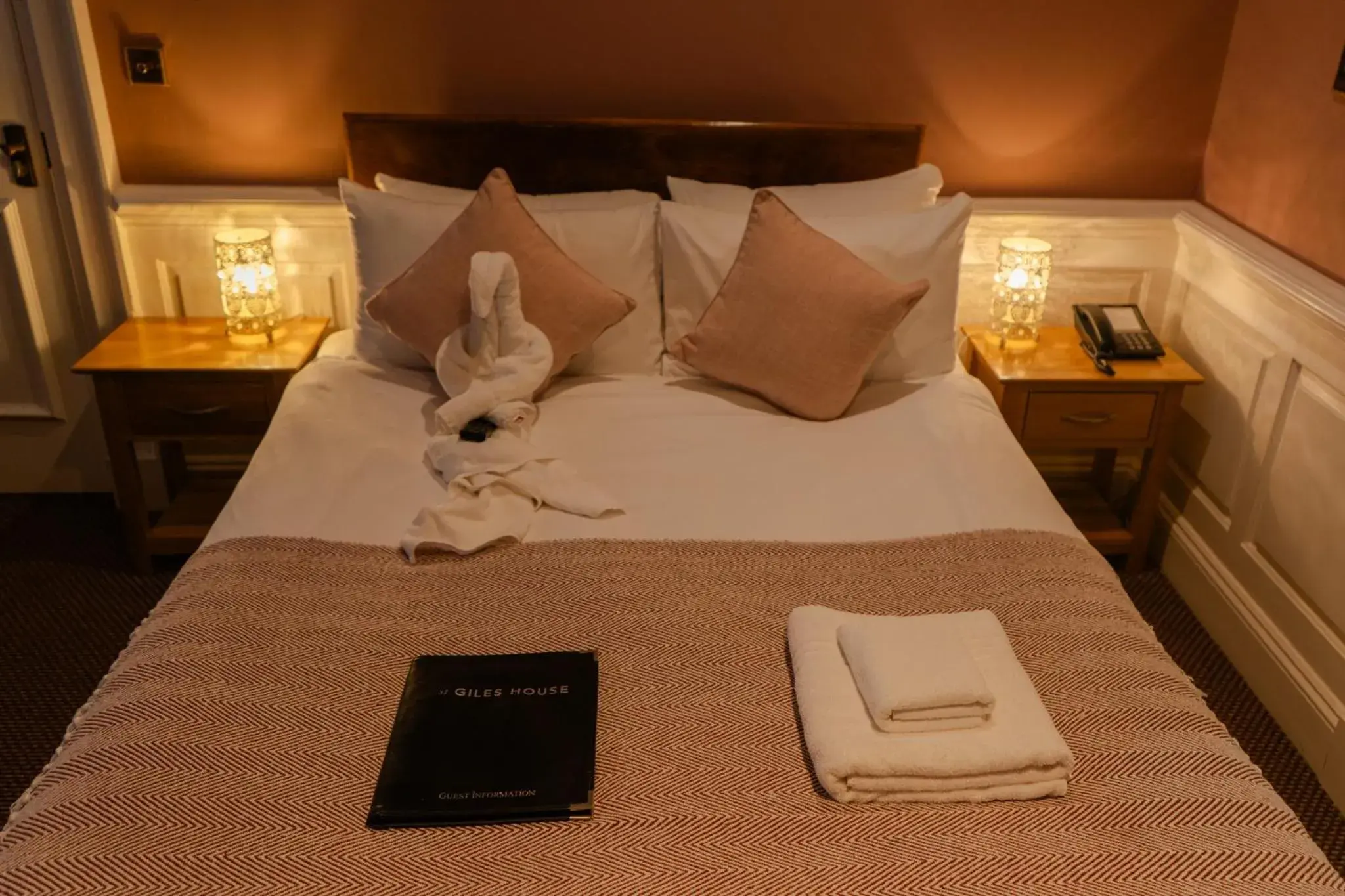 Deluxe Double Room (Dog Friendly) in St Giles House Deluxe Double Room (Dog Friendly) in St Giles House