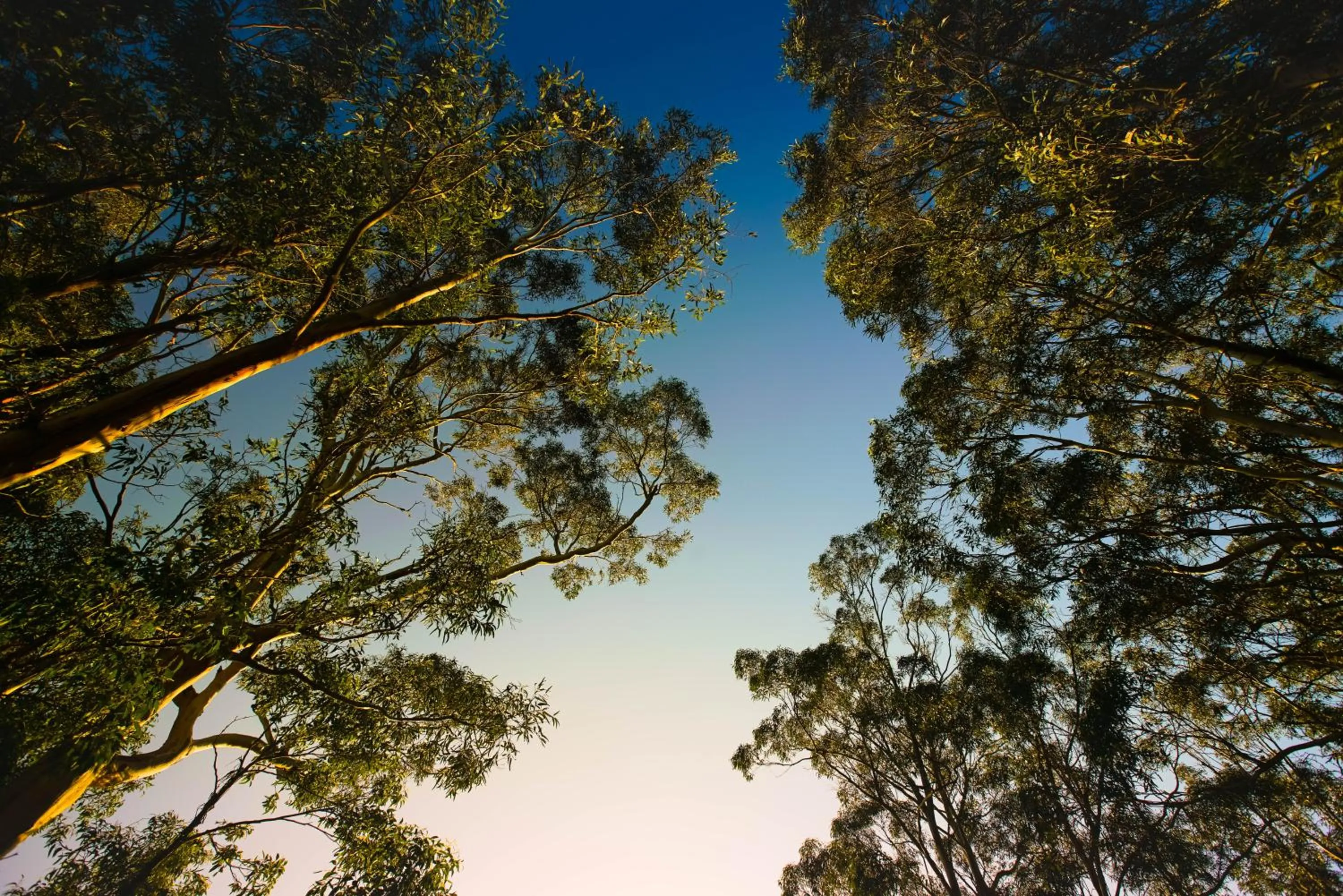 Beacon Point Ocean View Villas
