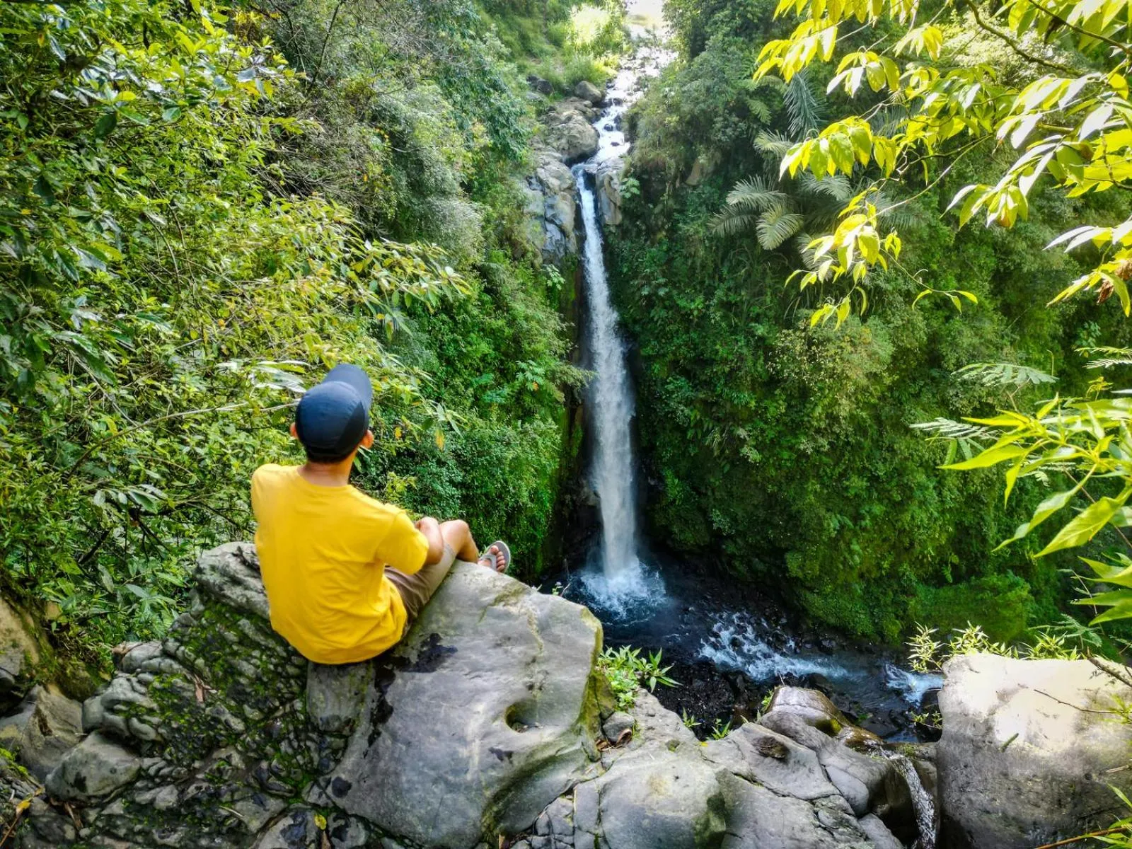 Natural landscape in Villa Borobudur Resort