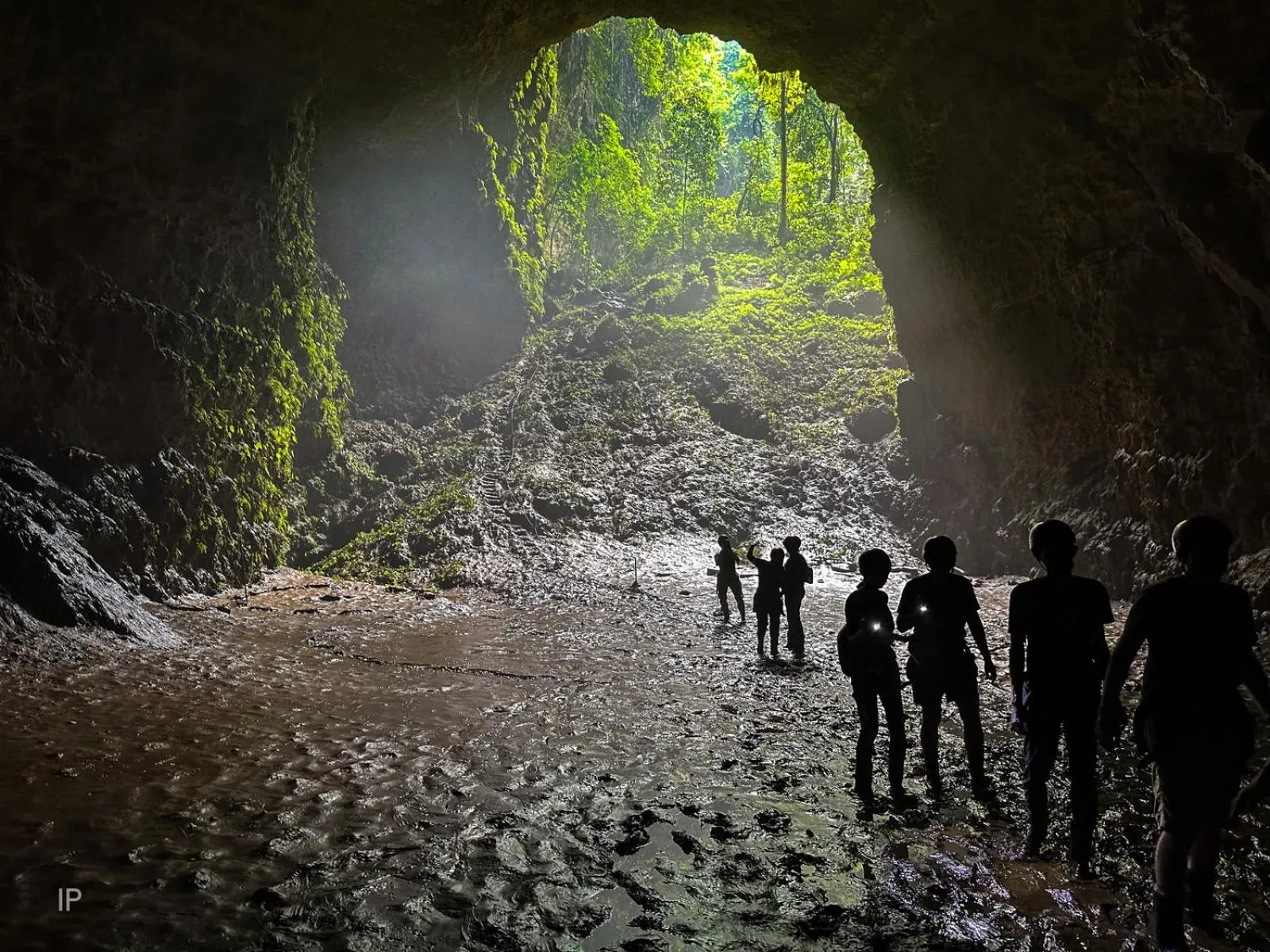 Activities in Villa Borobudur Resort