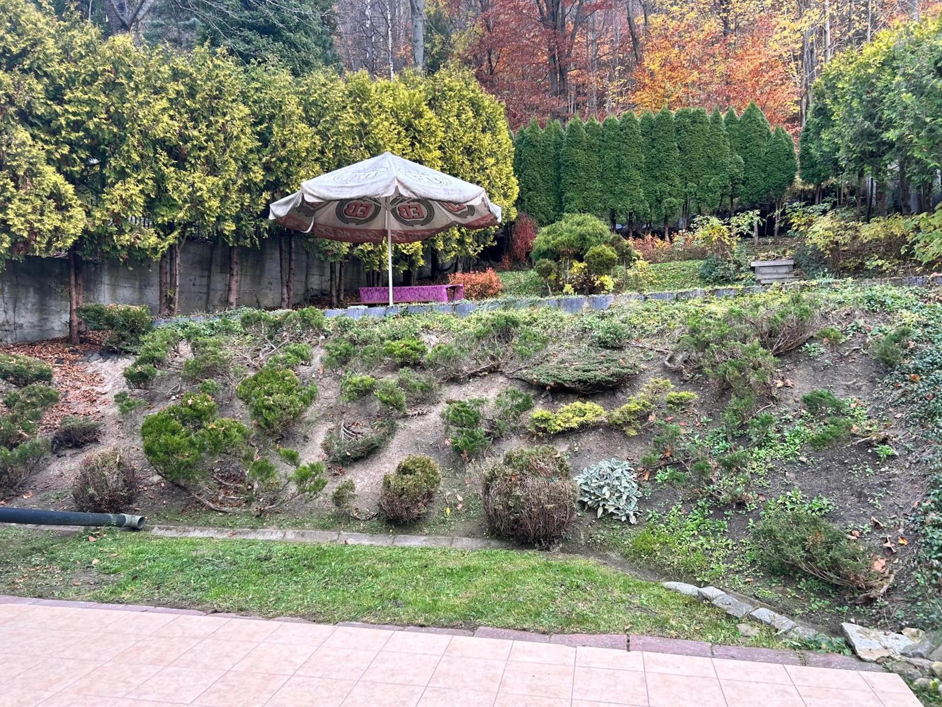 Garden in Willa Safona