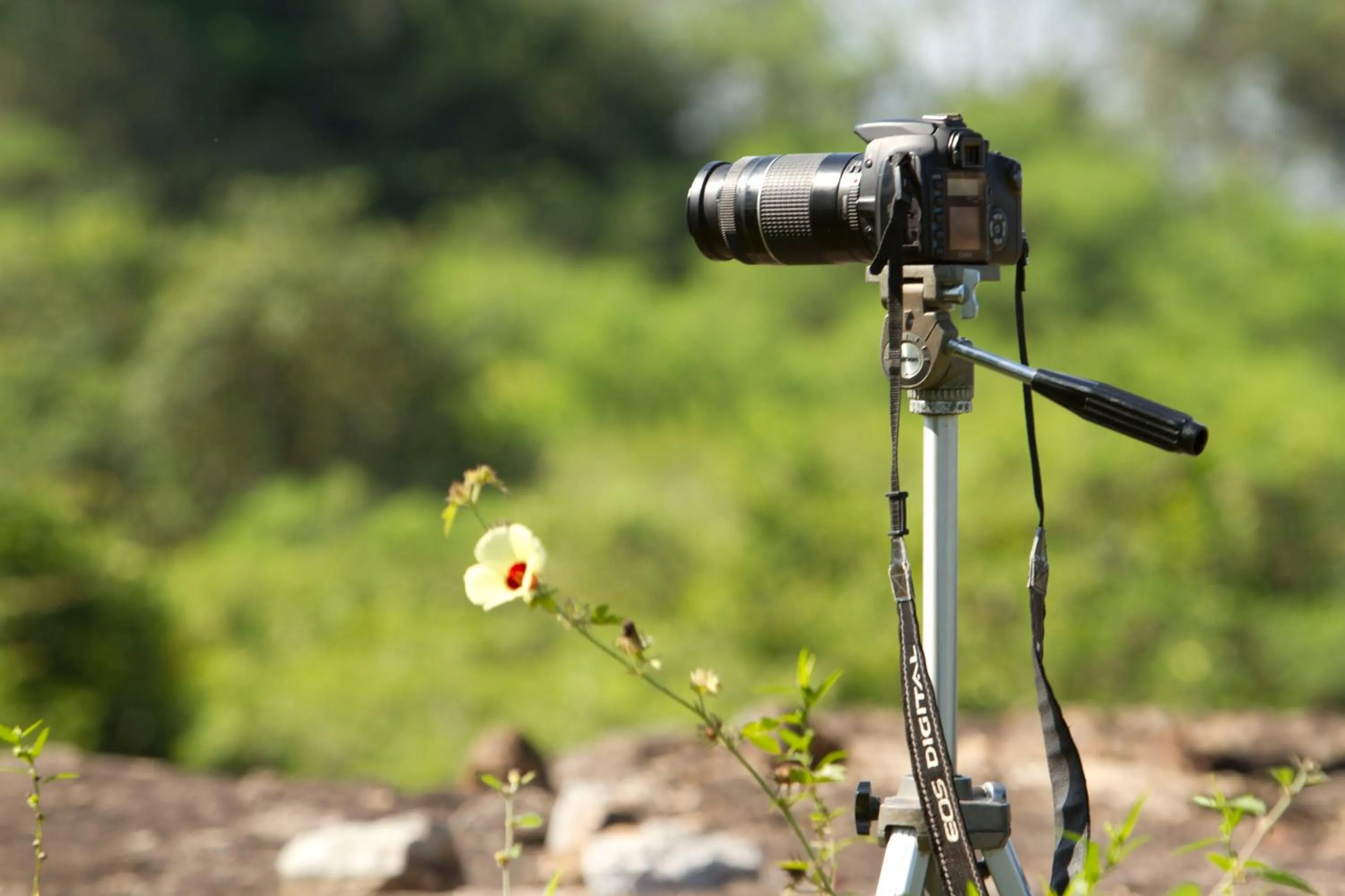 Restaurant/places to eat in Mahoora Udawalawe - by Eco Team