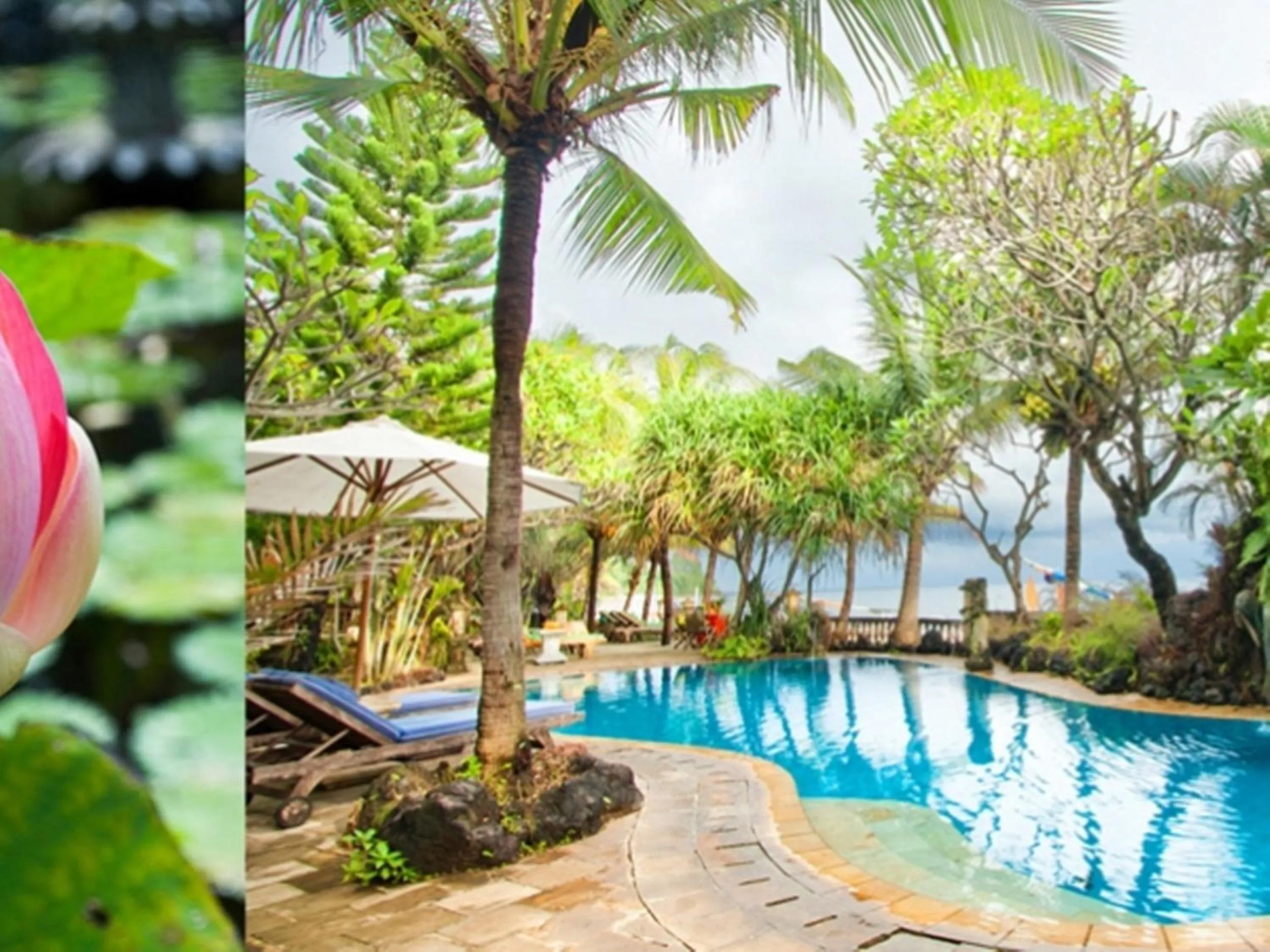 Swimming pool in Apa Kabar Villas