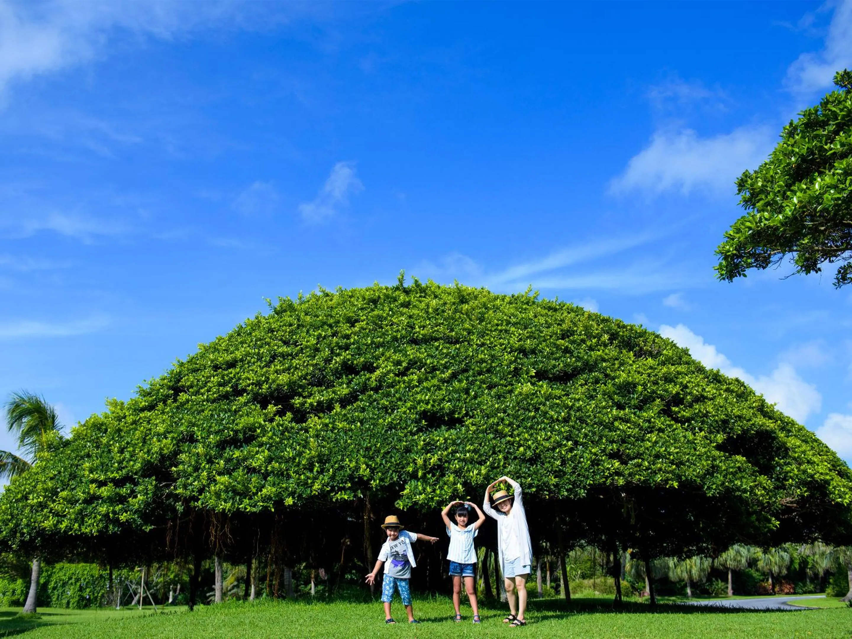 Natural landscape in Miyakojima Tokyu Hotel & Resorts