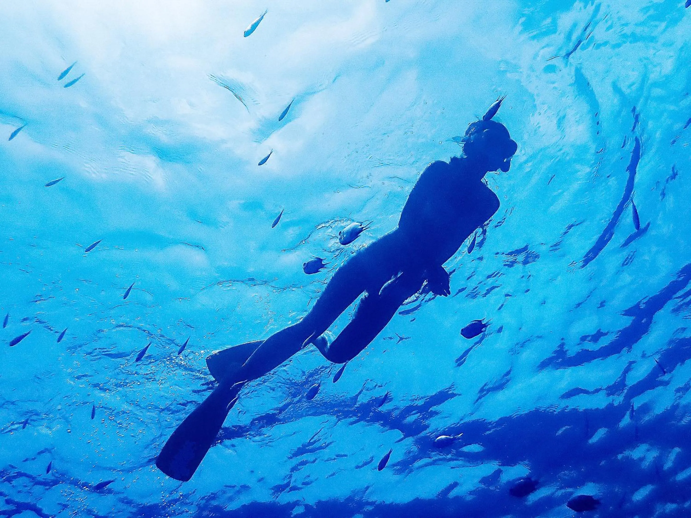 Activities in Miyakojima Tokyu Hotel & Resorts