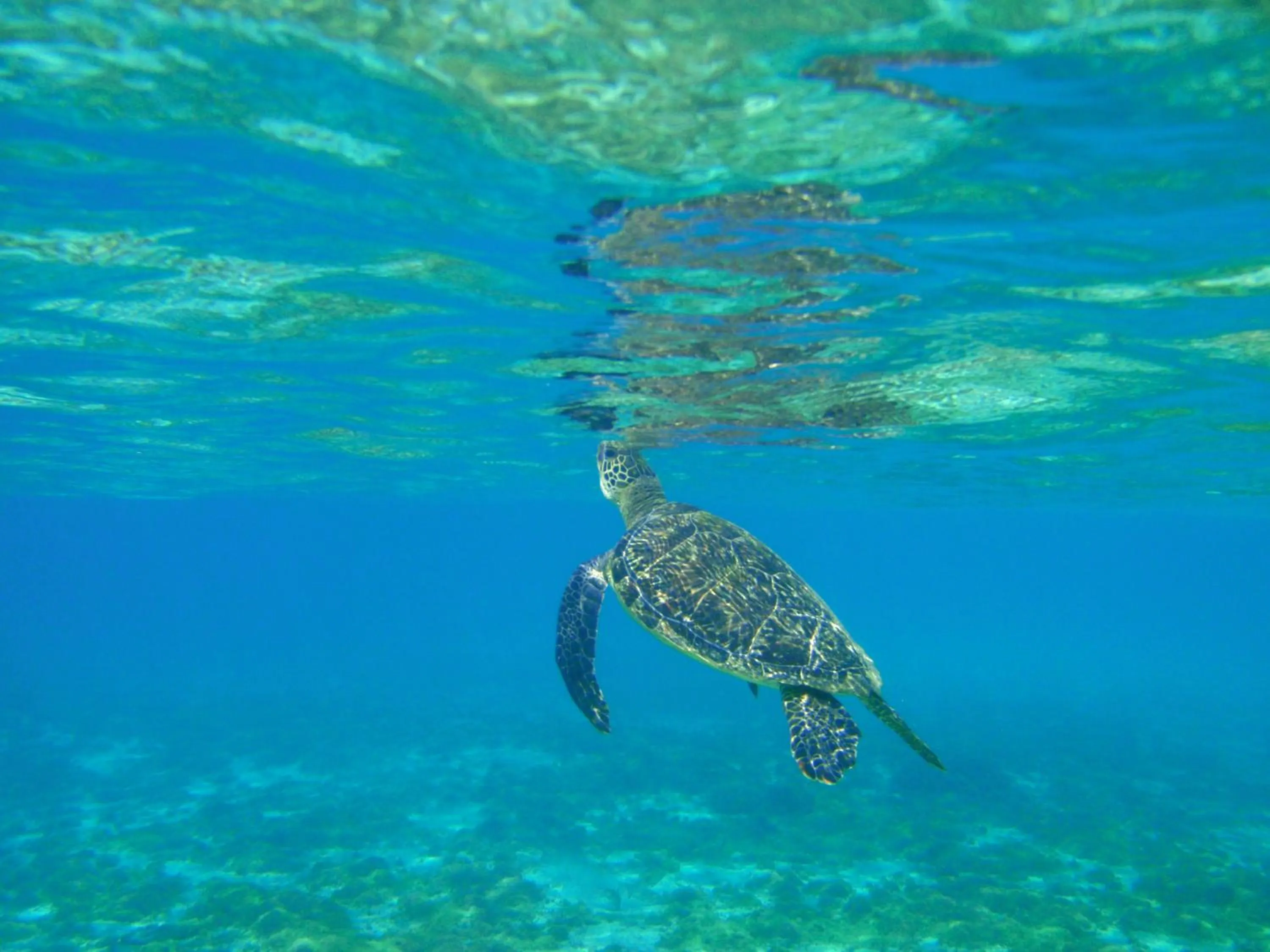 Natural landscape in Central Resort Miyakojima