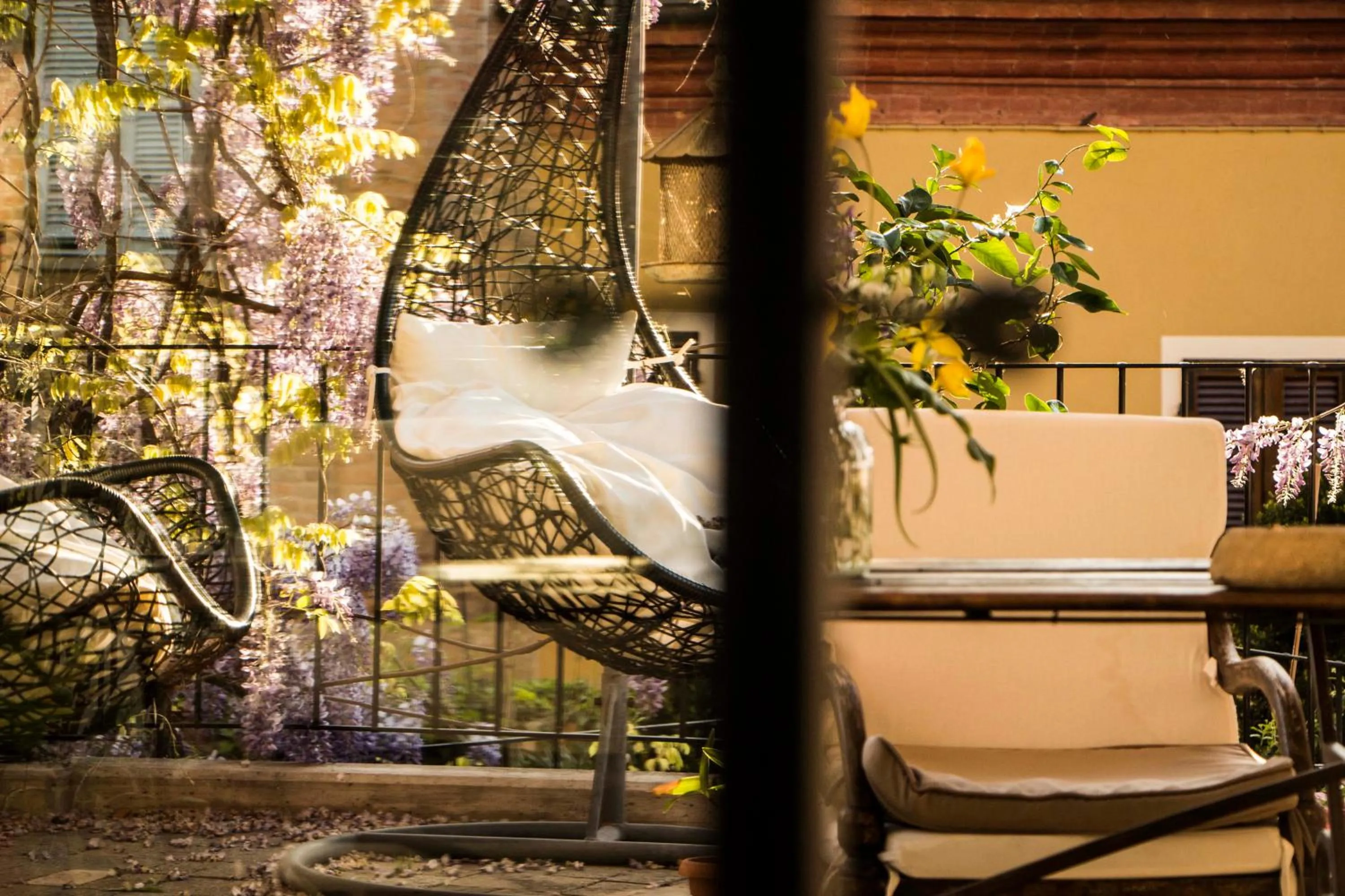 Garden in L'Aromatario