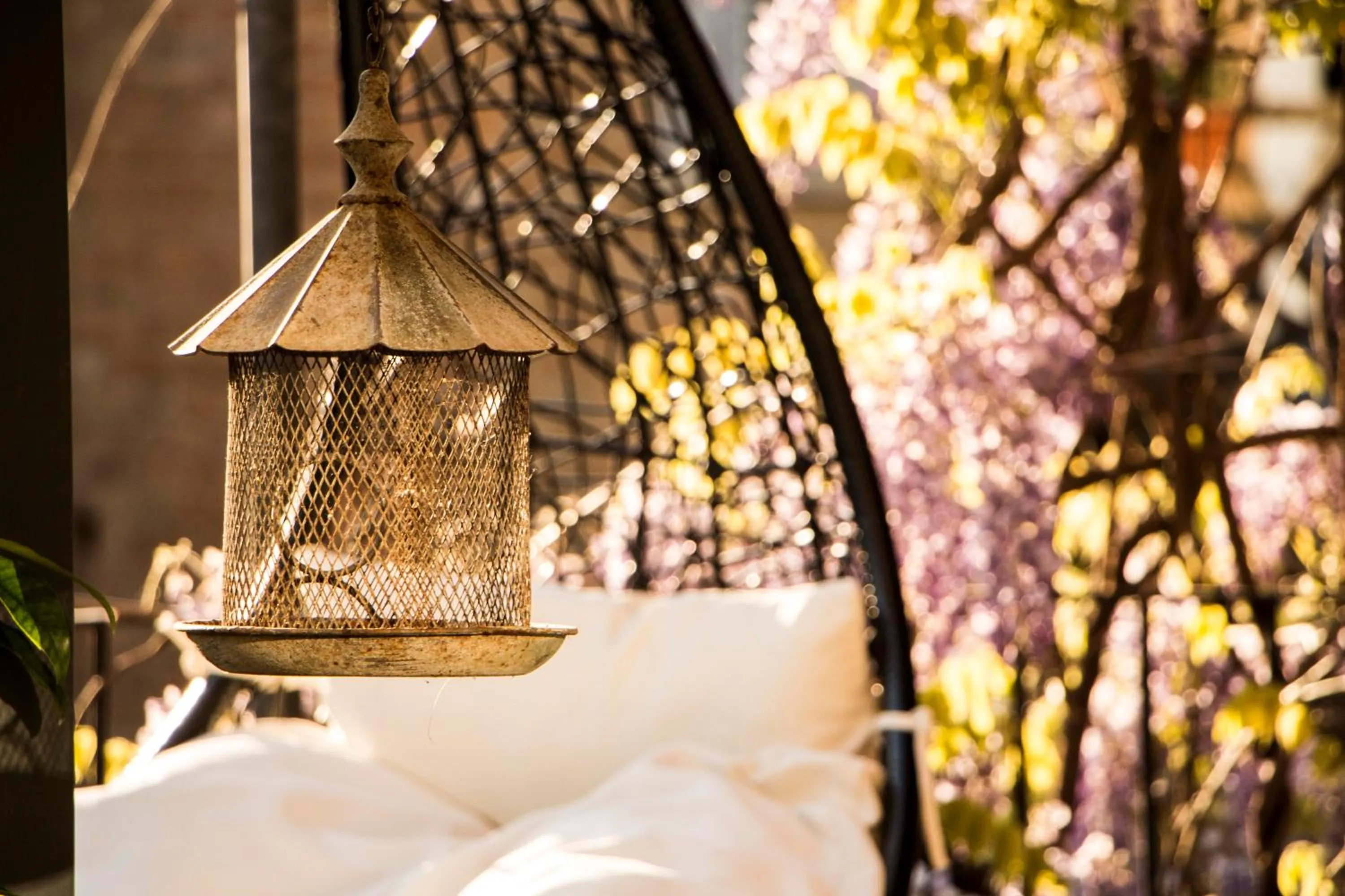 Garden in L'Aromatario