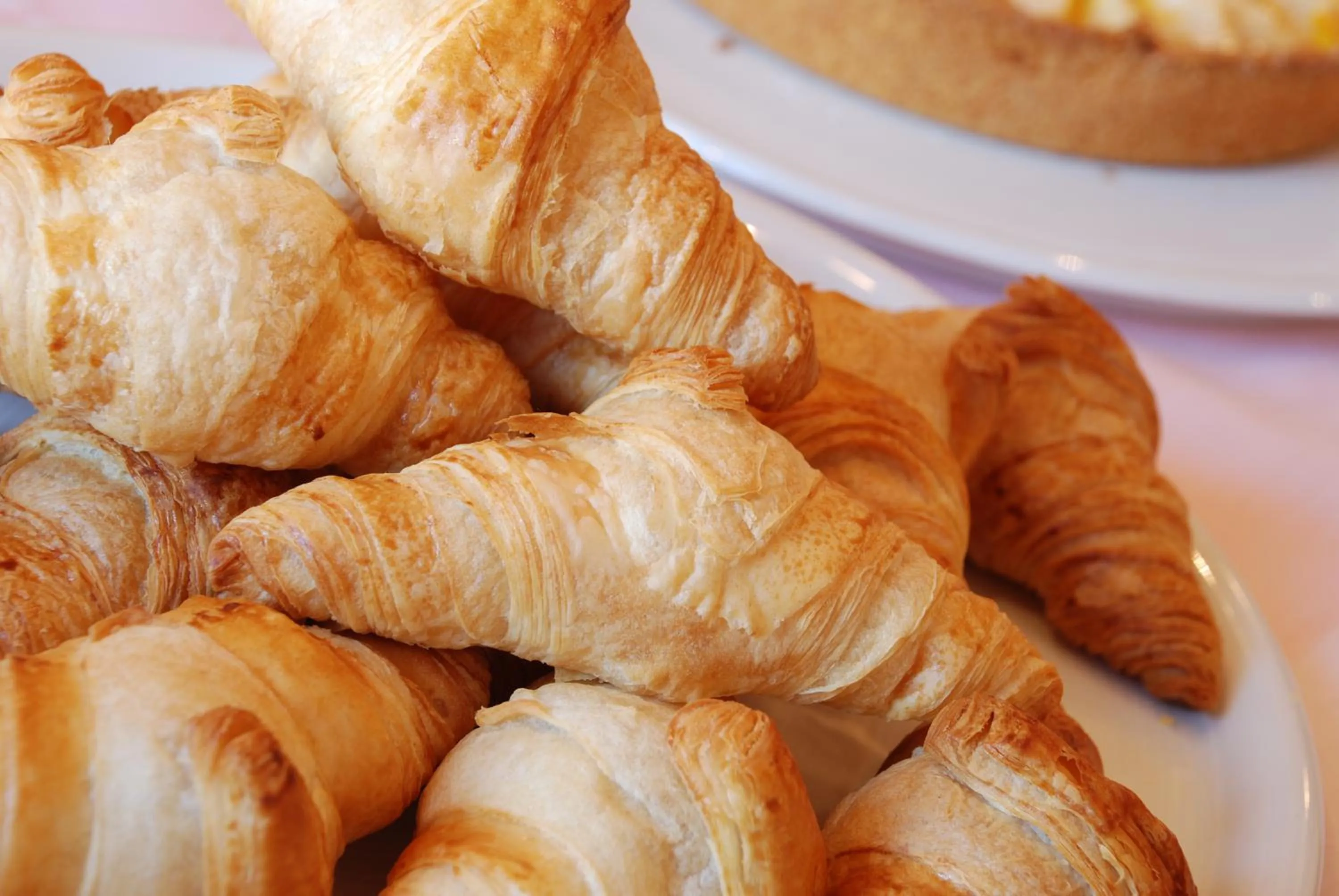 Food in Hotel Campelli