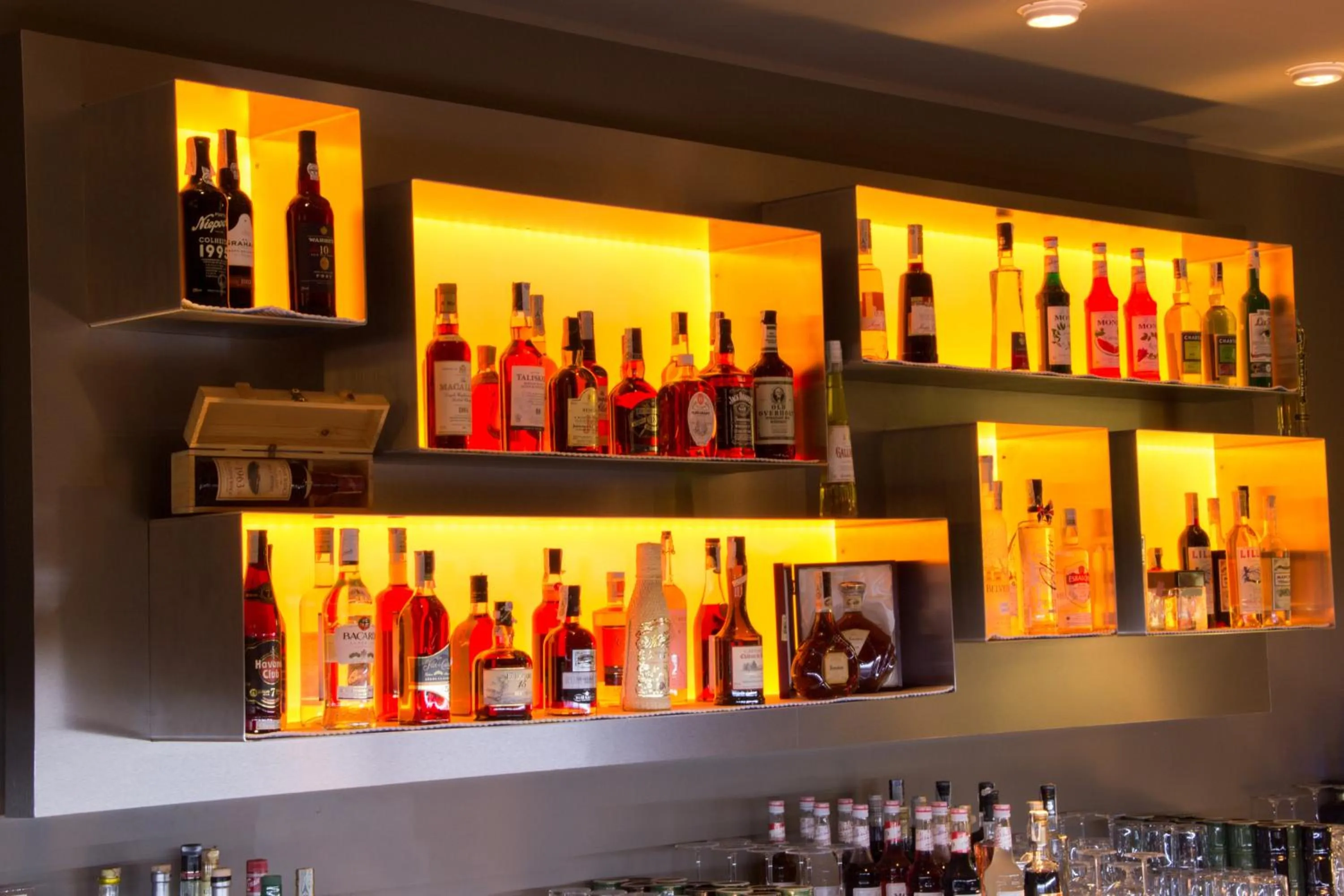 Evening entertainment in Hotel Campelli