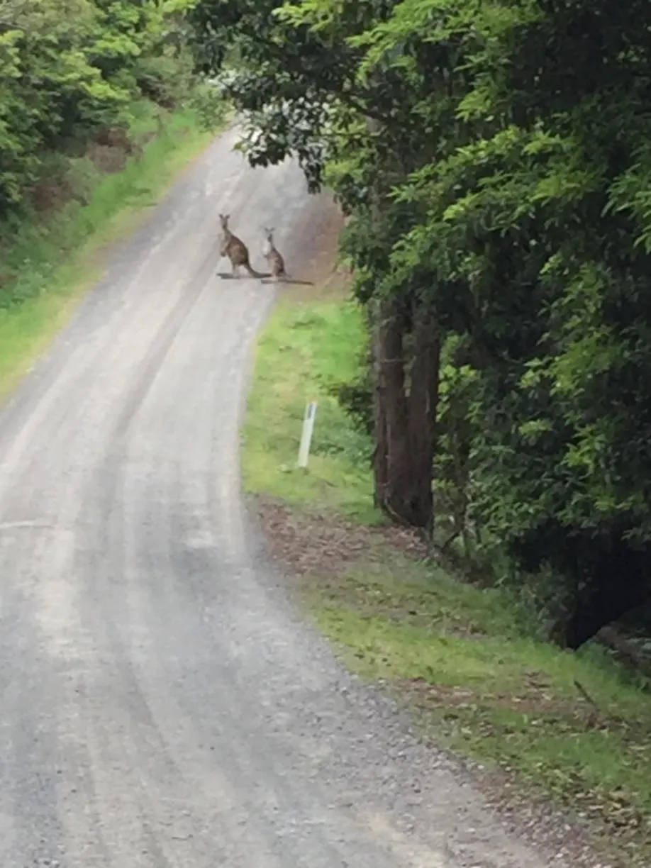 Street view in Aashay Country Stay