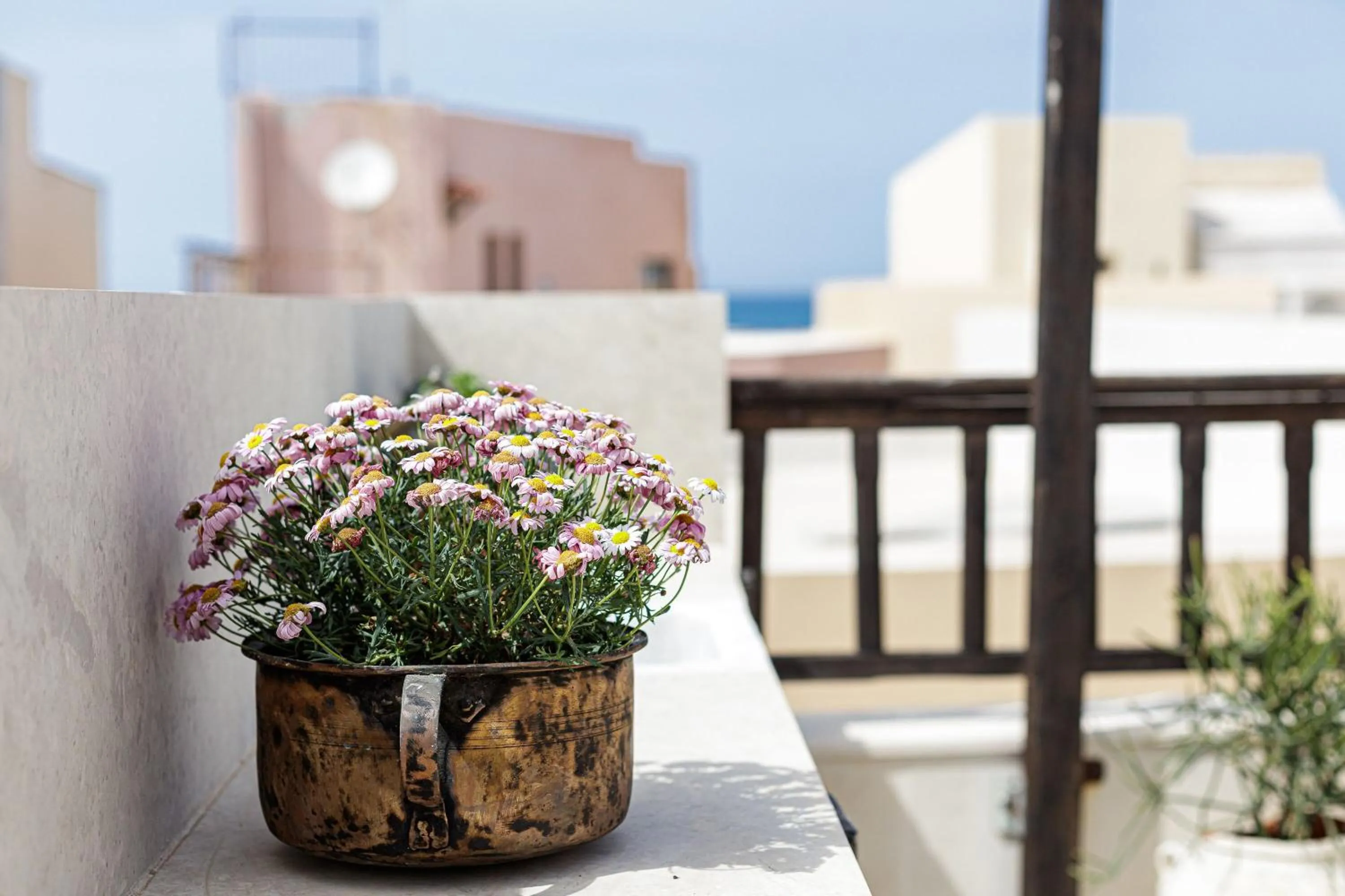 Antonia's House - Old town