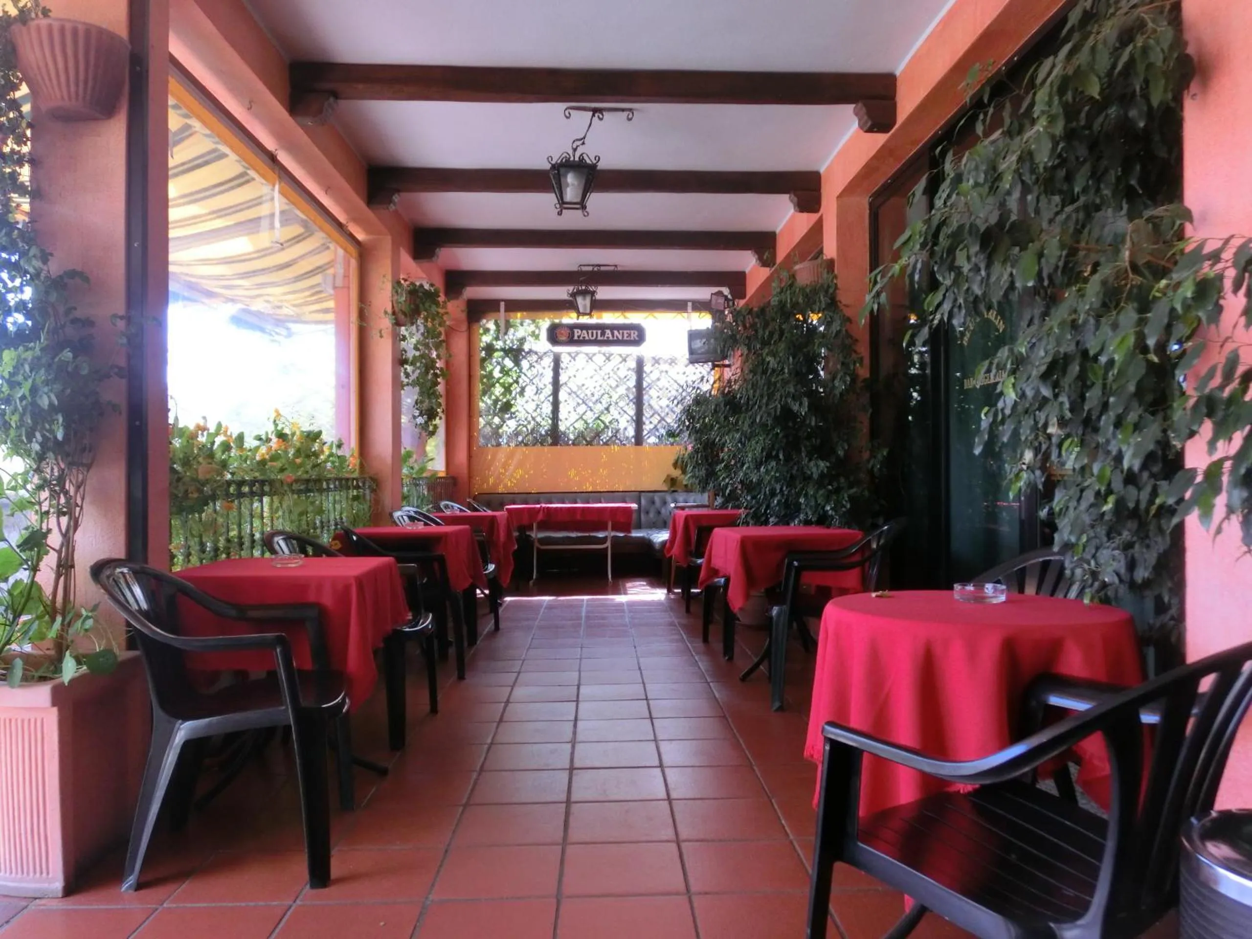 Day in Hotel Blu Marlin