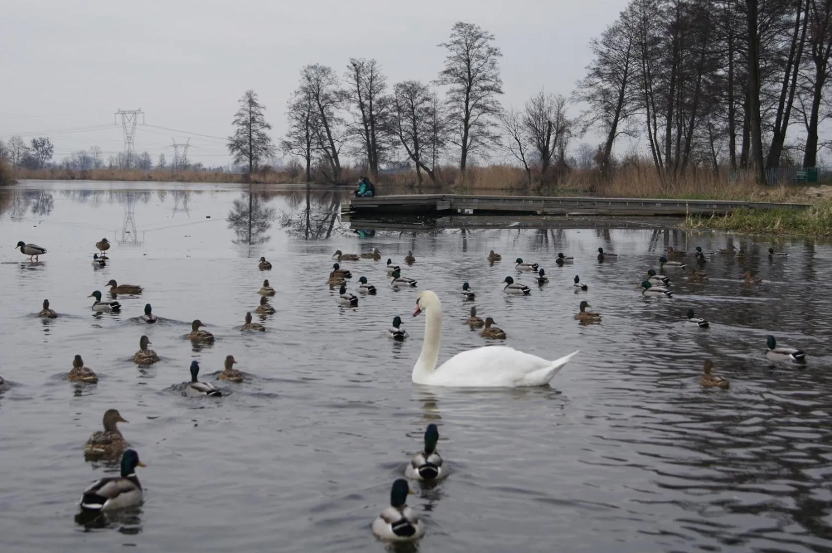 Nearby landmark in Kryształowy Pałacyk