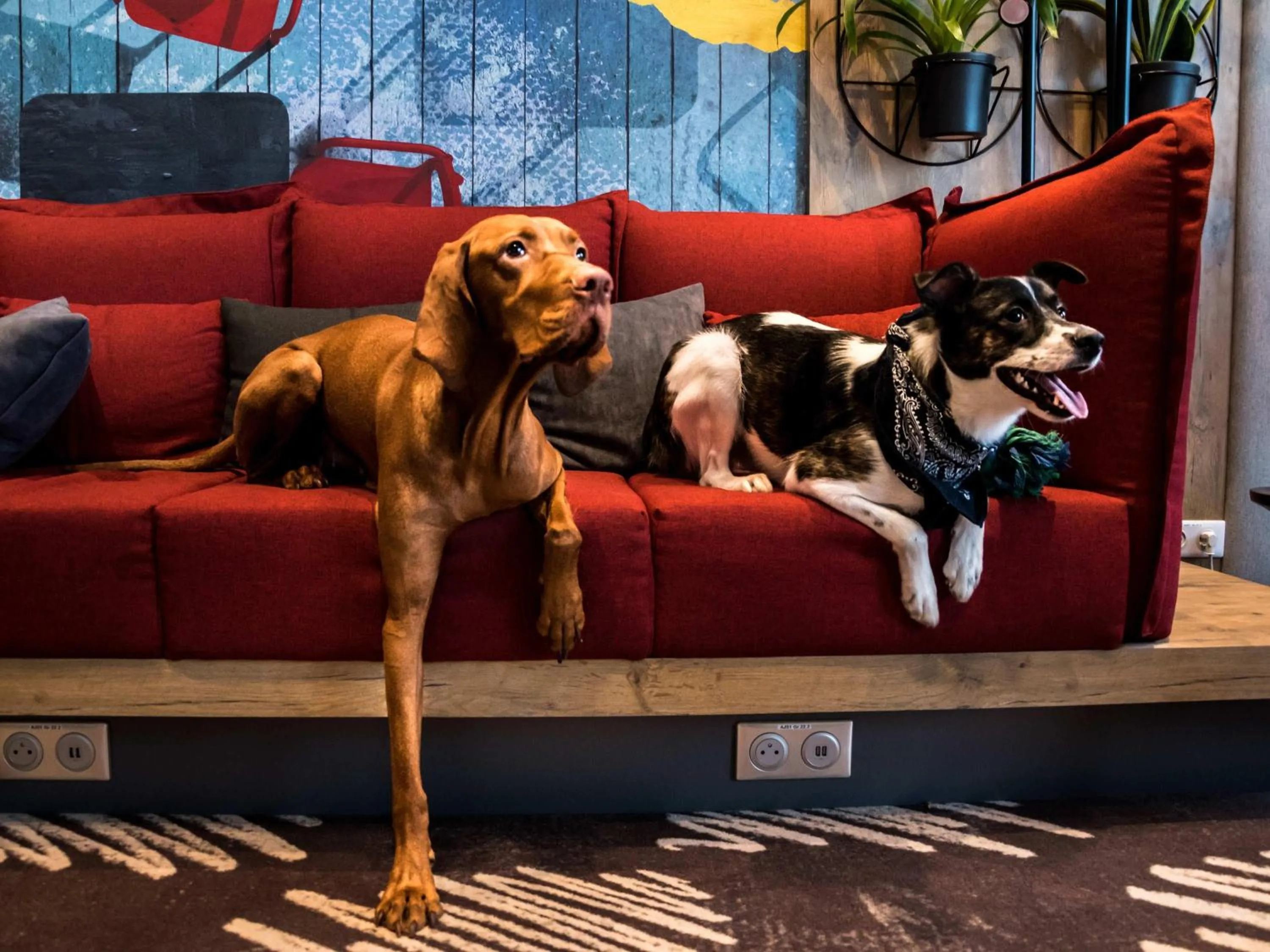 Property building in ibis Vilnius Centre